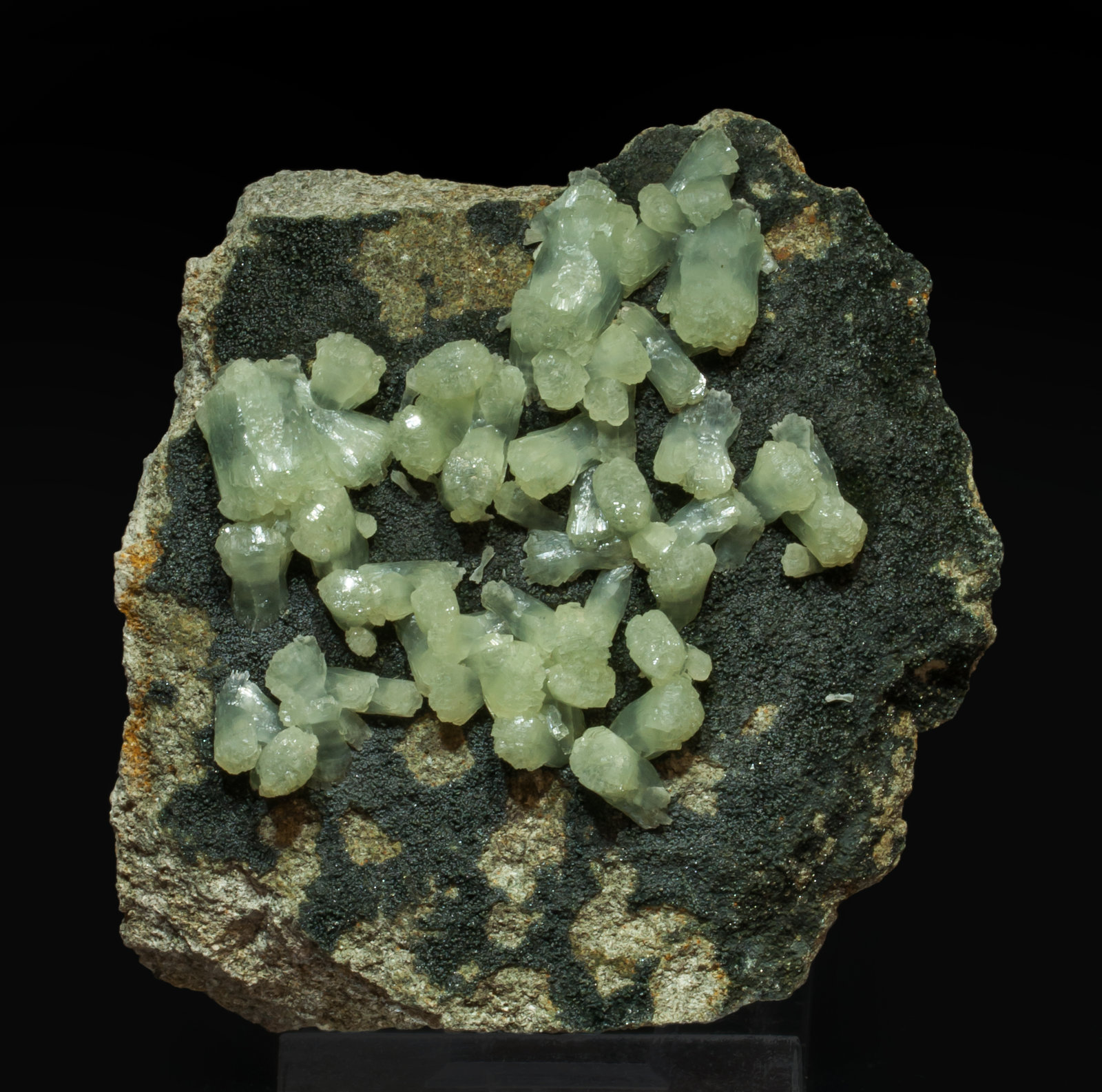 specimens/s_imagesAK1/Prehnite-EL14AK1f.jpg