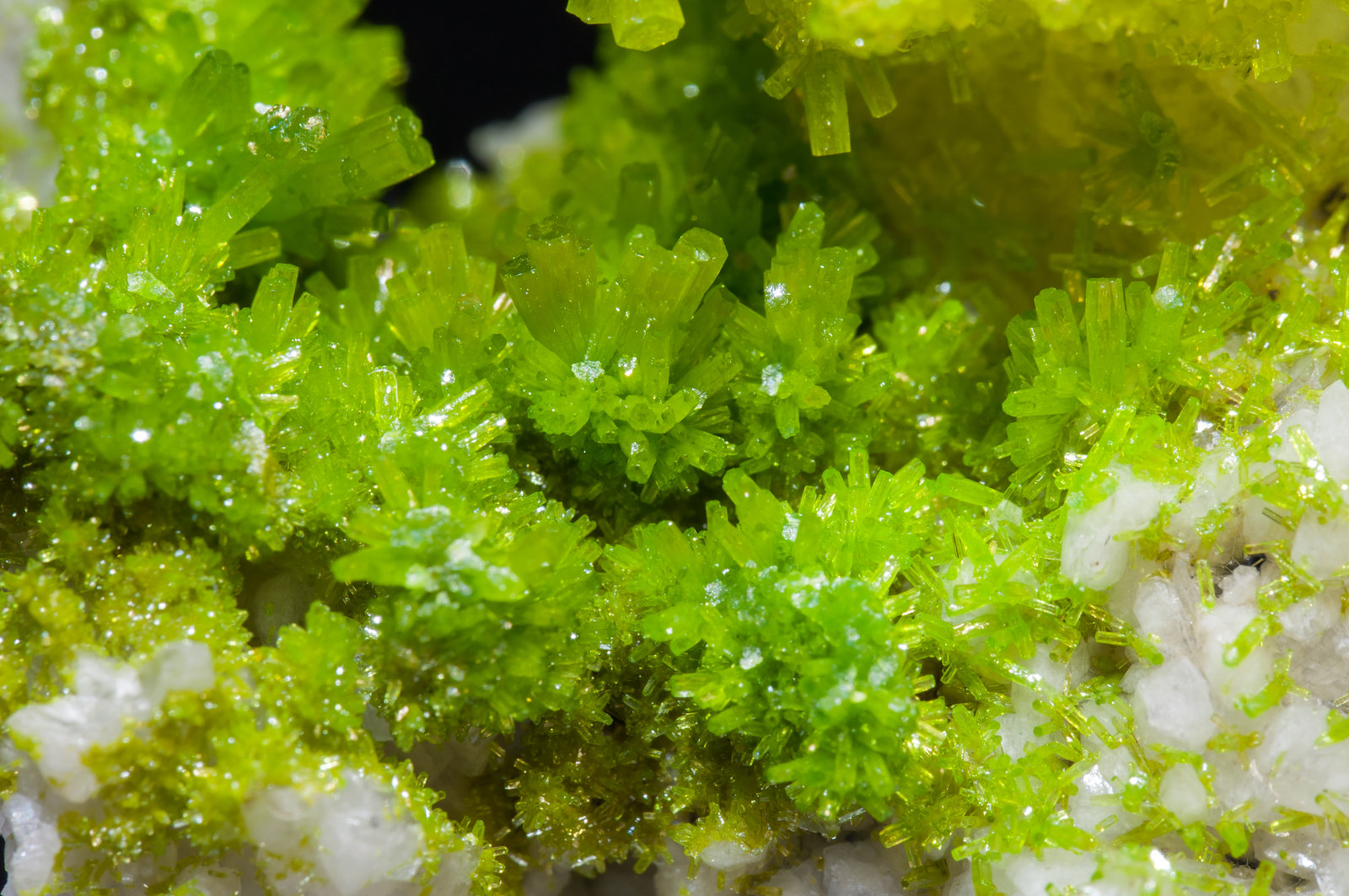 specimens/s_imagesAK1/Pyromorphite-EH98AK1d.jpg