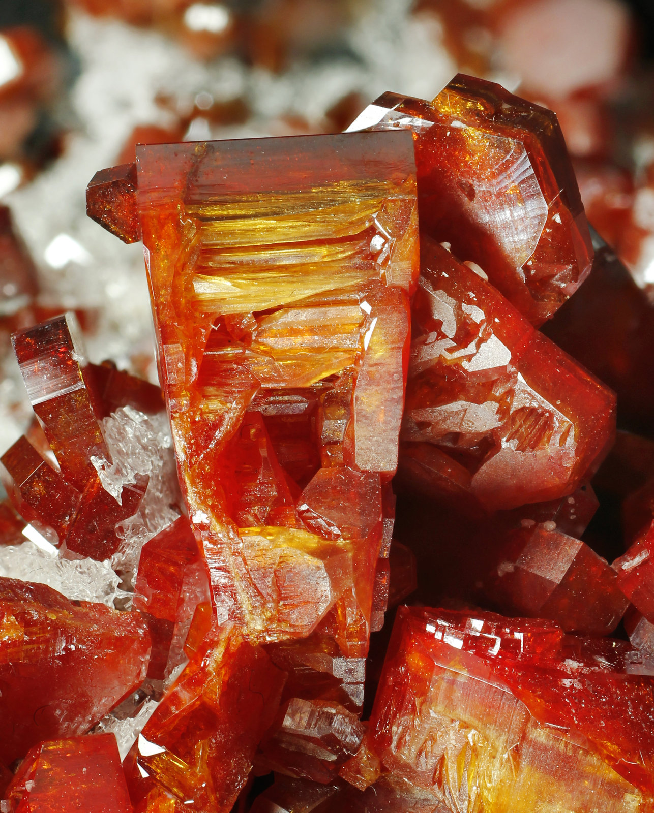 specimens/s_imagesAK1/Vanadinite-AB16AK1_0308_d2.jpg