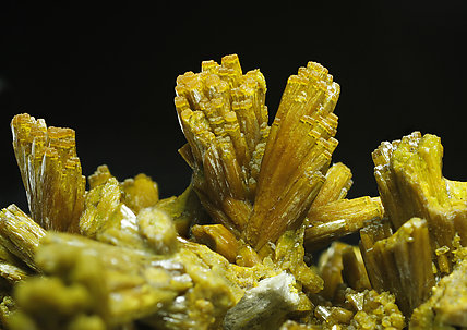 Pyromorphite. 