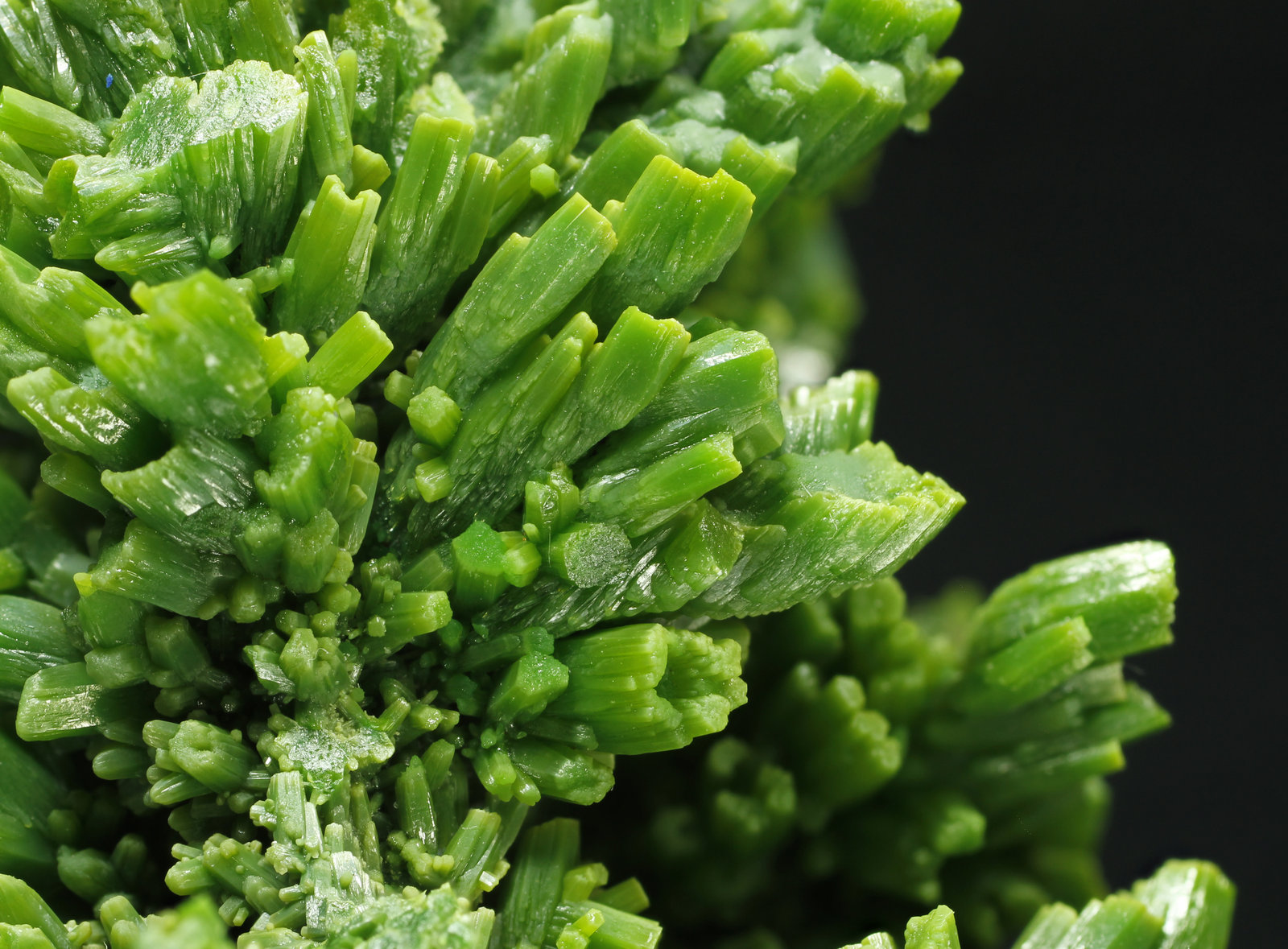 specimens/s_imagesAK2/Pyromorphite-LQ99AK2_2812_d.jpg