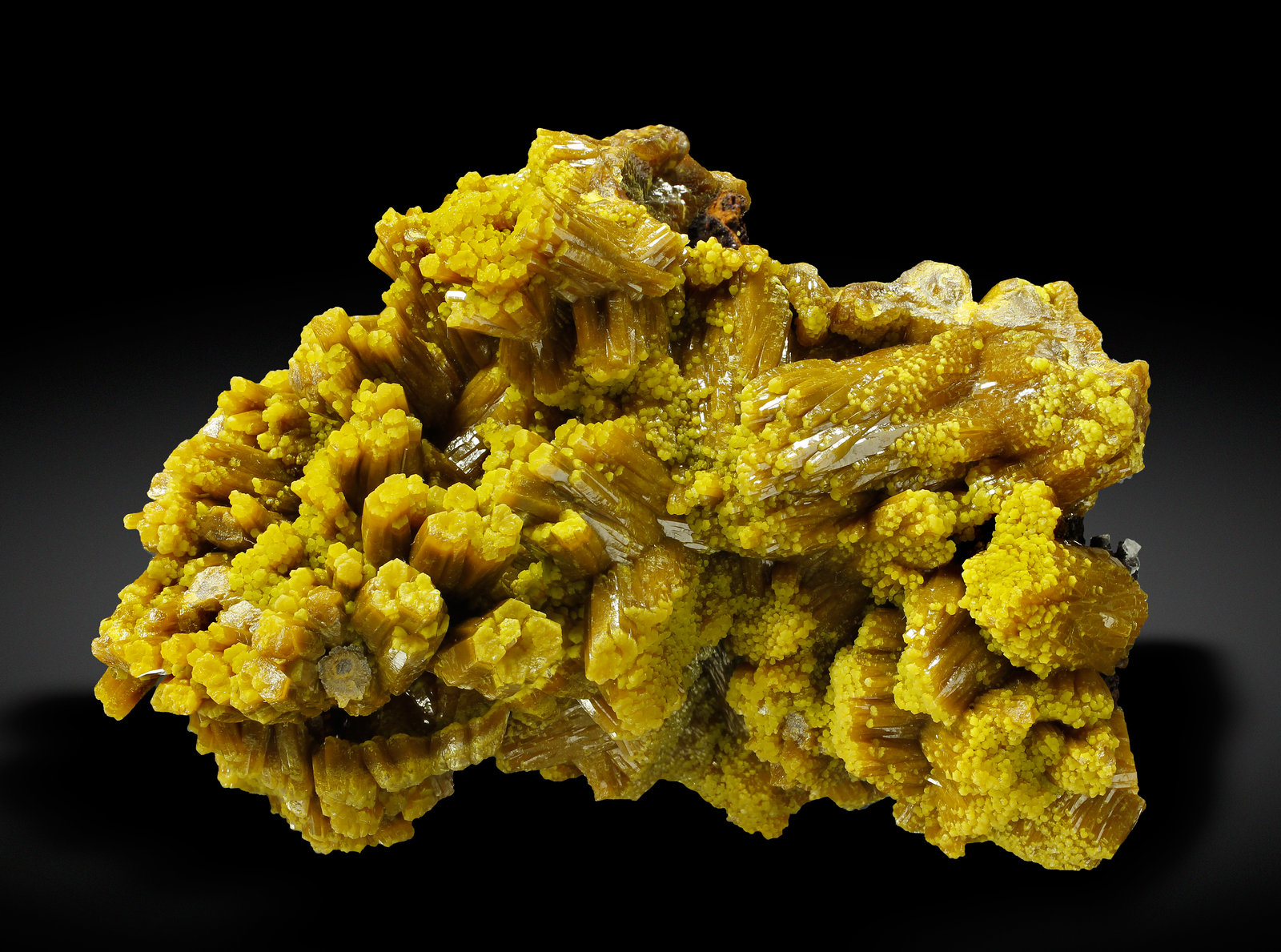specimens/s_imagesAK2/Pyromorphite-LY26AK2_2832_t.jpg