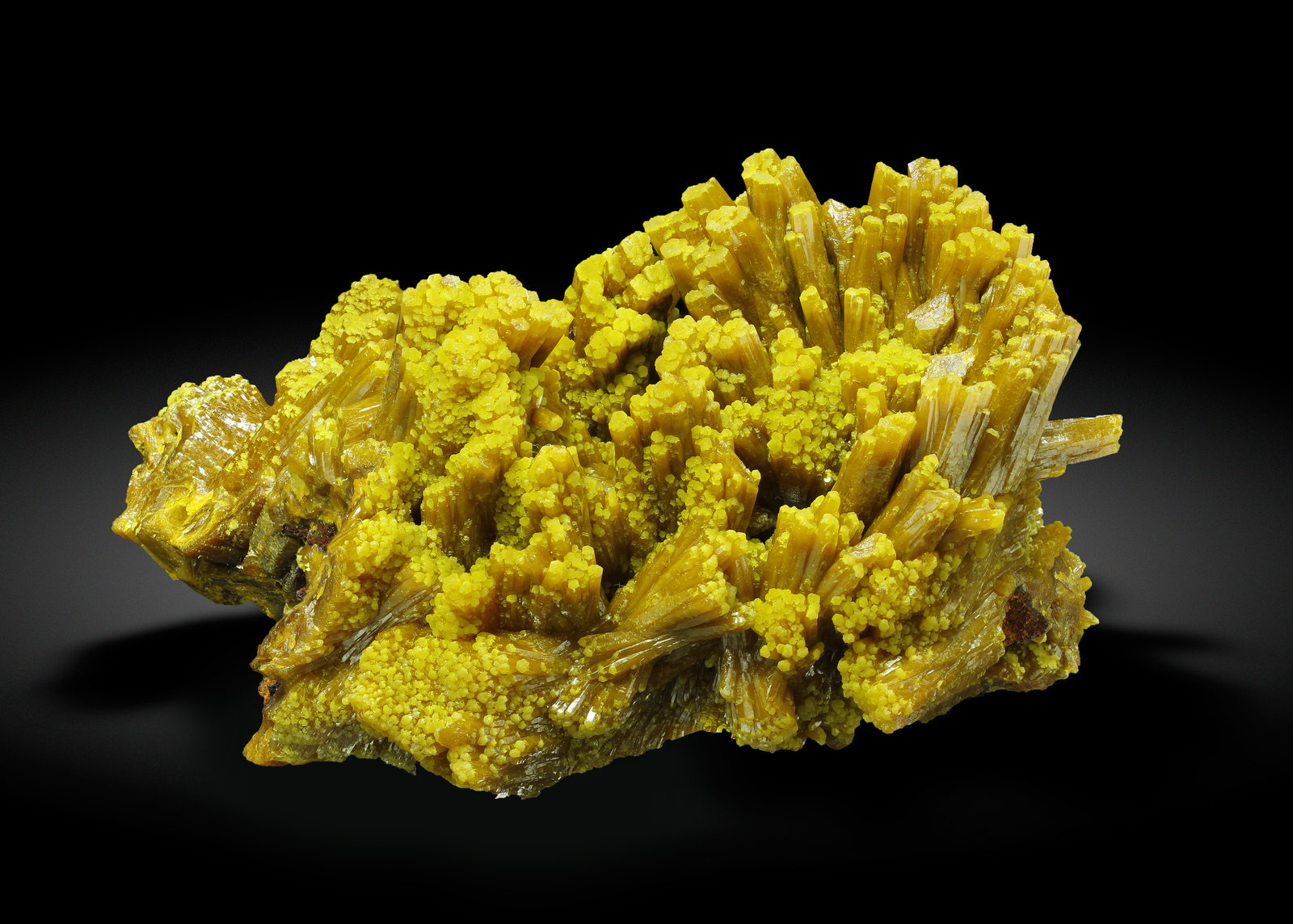 specimens/s_imagesAK2/Pyromorphite-LY26AK2_2906_r.jpg