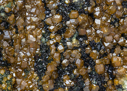 Andradite (variety topazolite) with Clinochlore. 