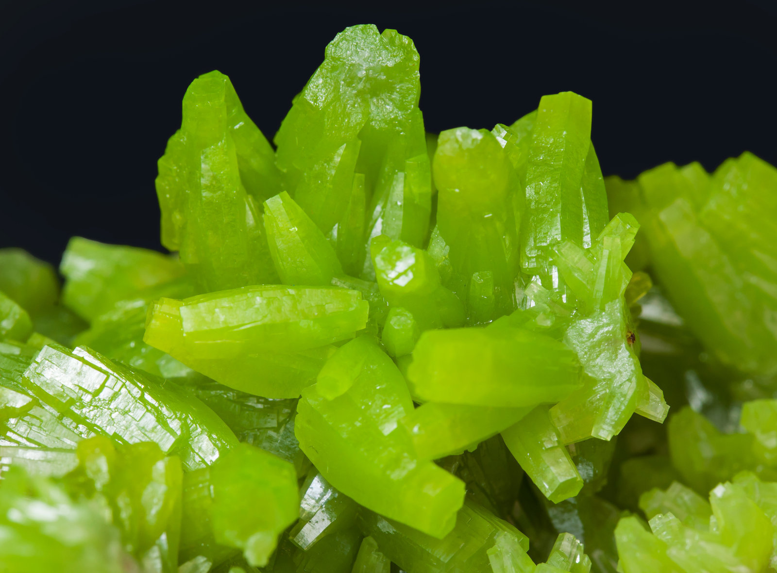 specimens/s_imagesAK3/Pyromorphite-TA98AK3d.jpg