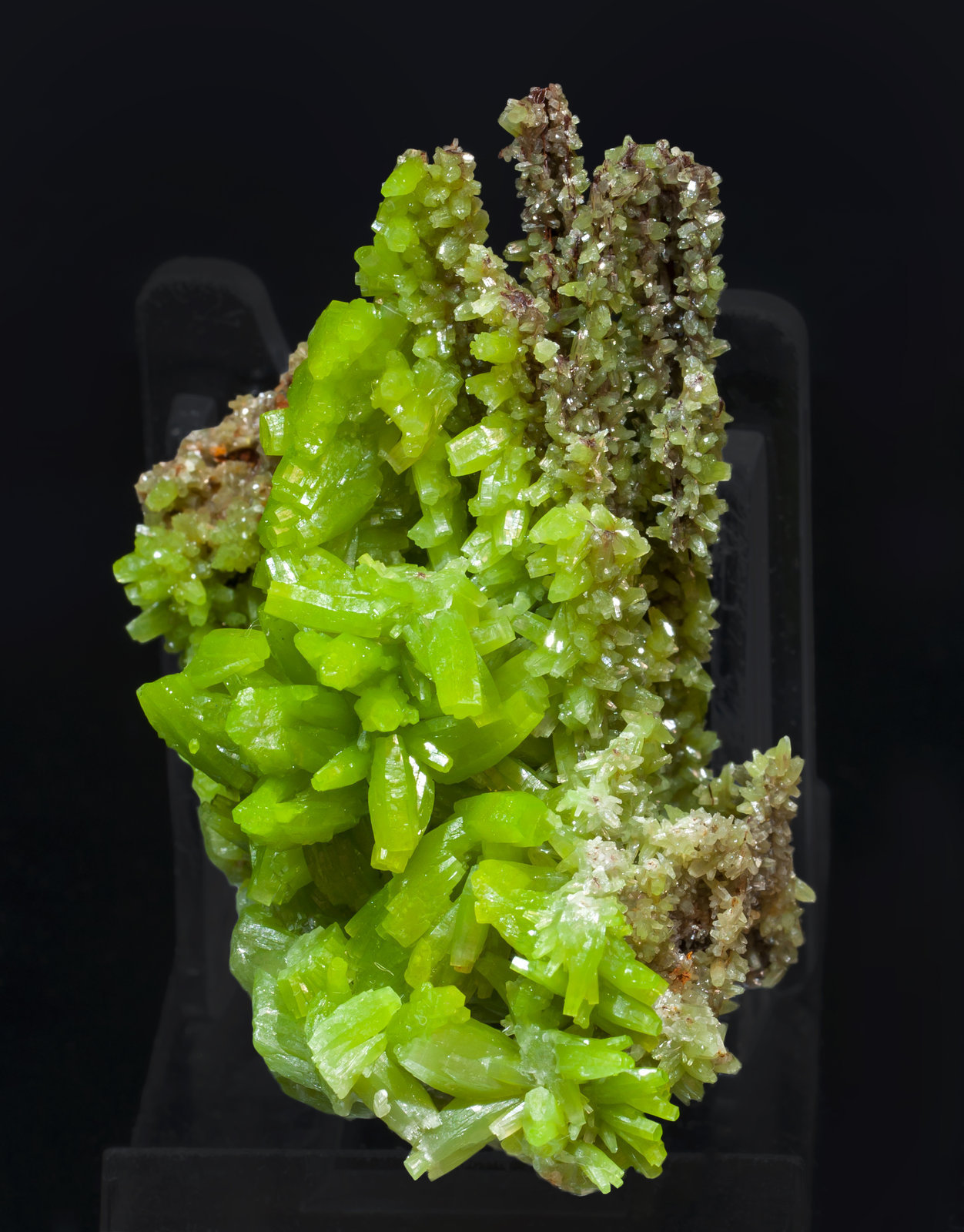 specimens/s_imagesAK3/Pyromorphite-TA98AK3s.jpg