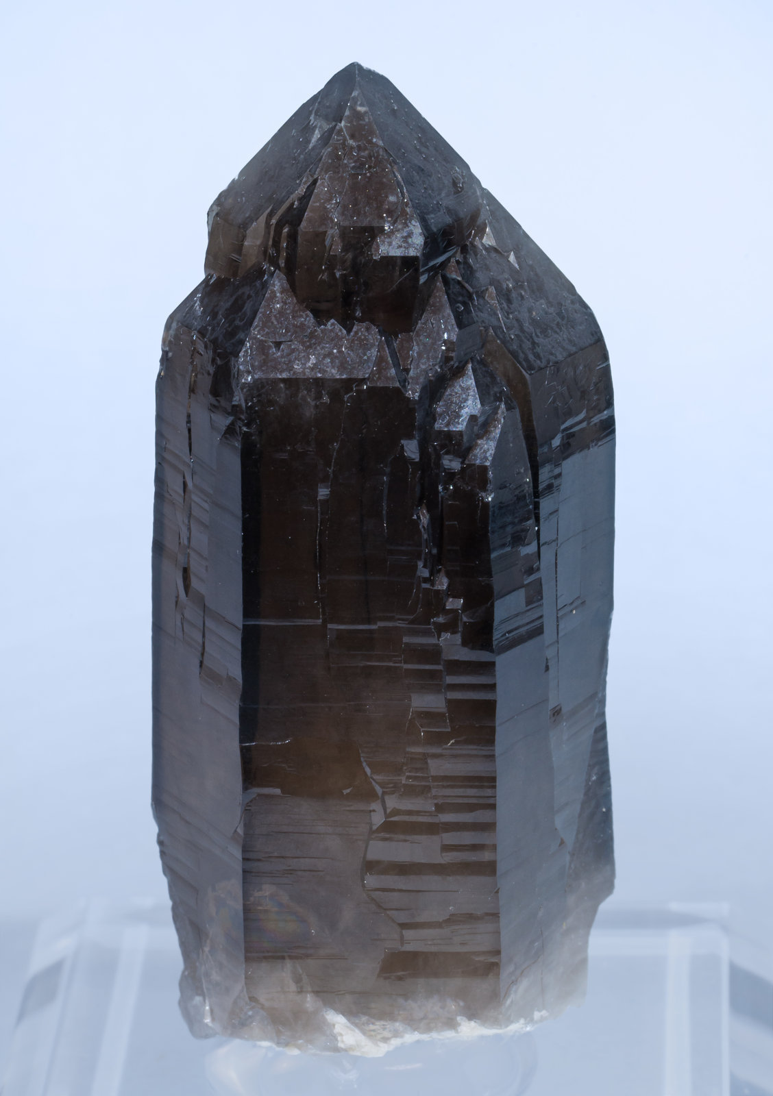 specimens/s_imagesAK4/Quartz_smoky-DH26AK4f1.jpg