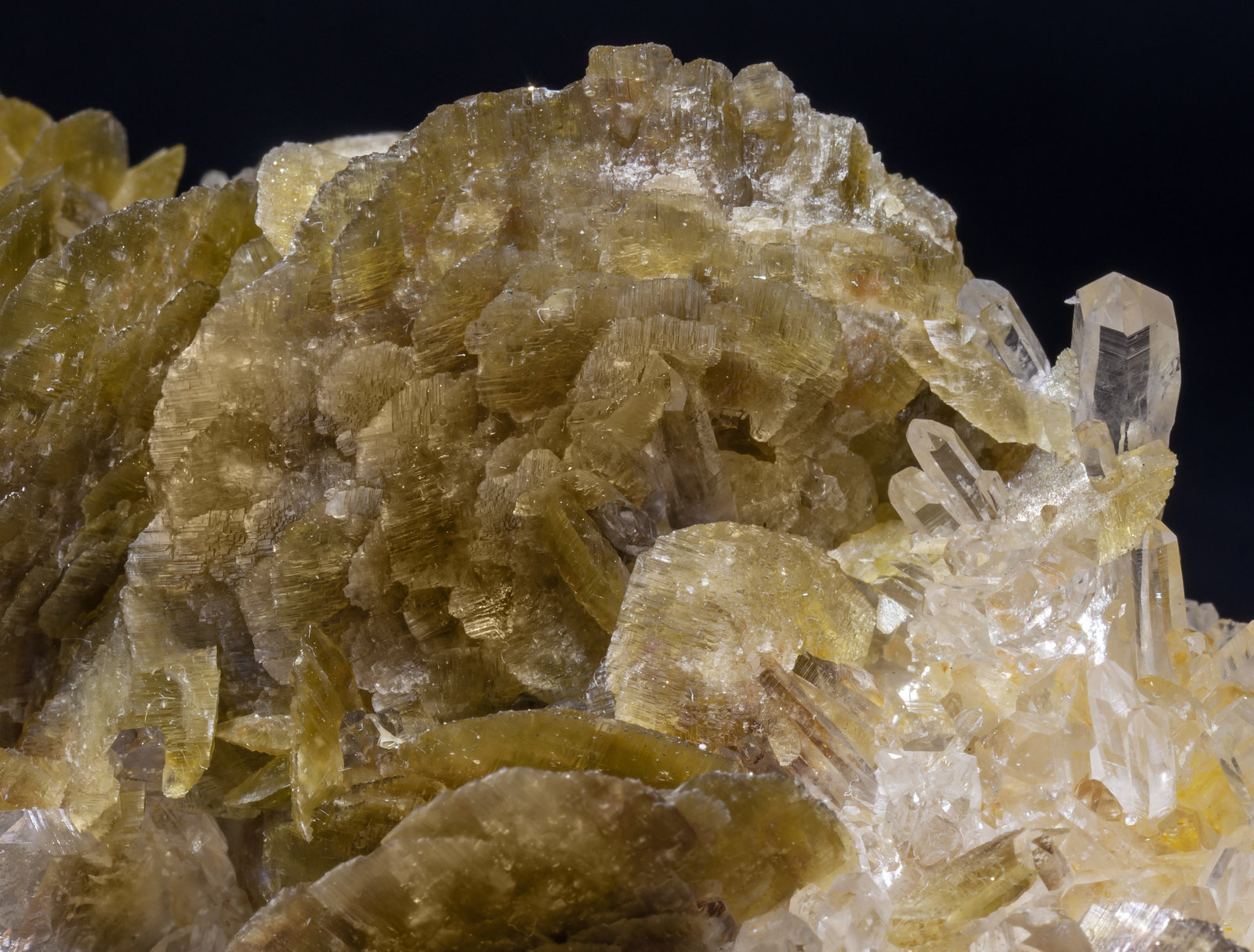 specimens/s_imagesAK4/Siderite-LM94AK4d.jpg