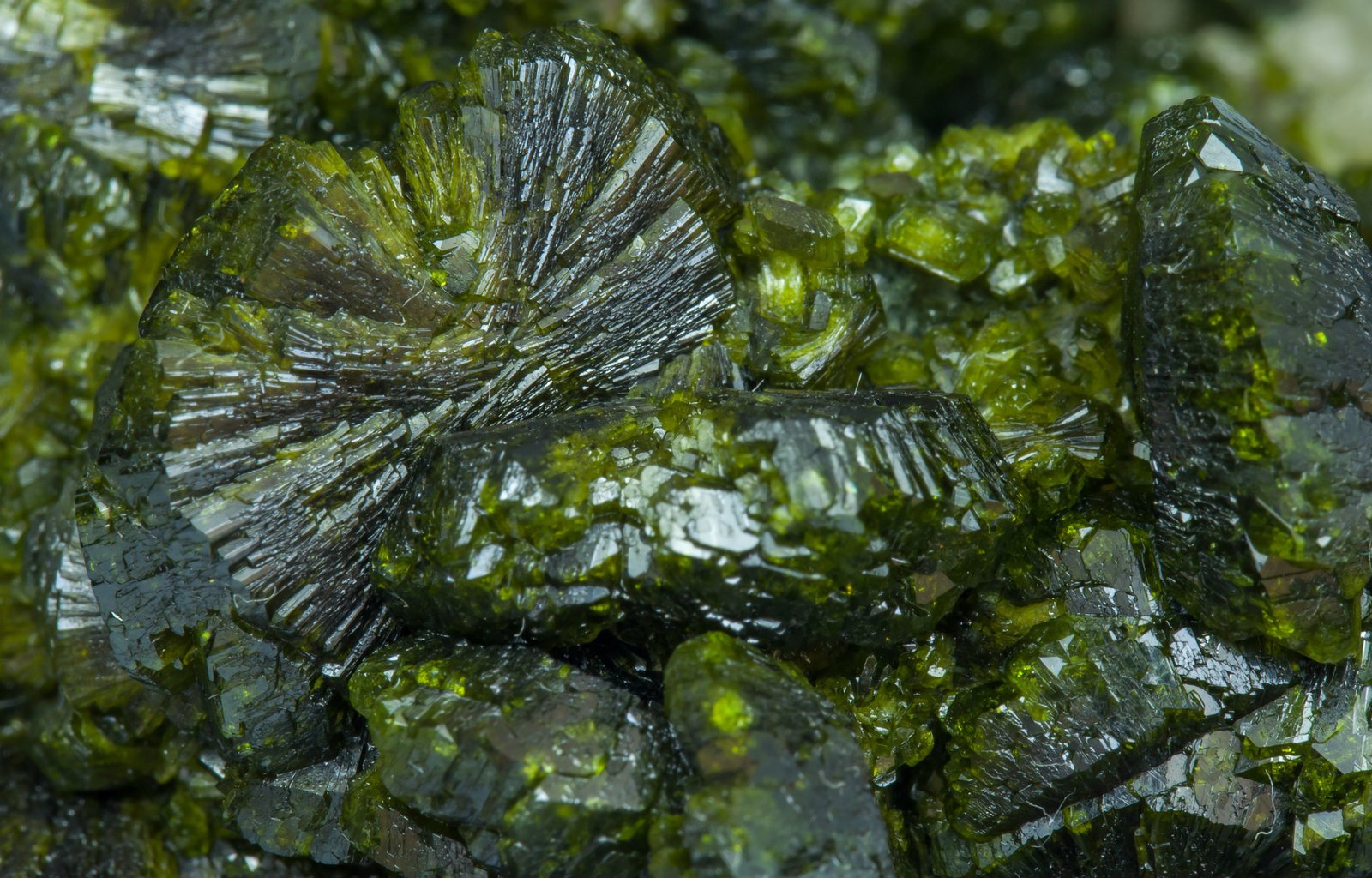 specimens/s_imagesAK5/Epidote-EY97AK5d1.jpg