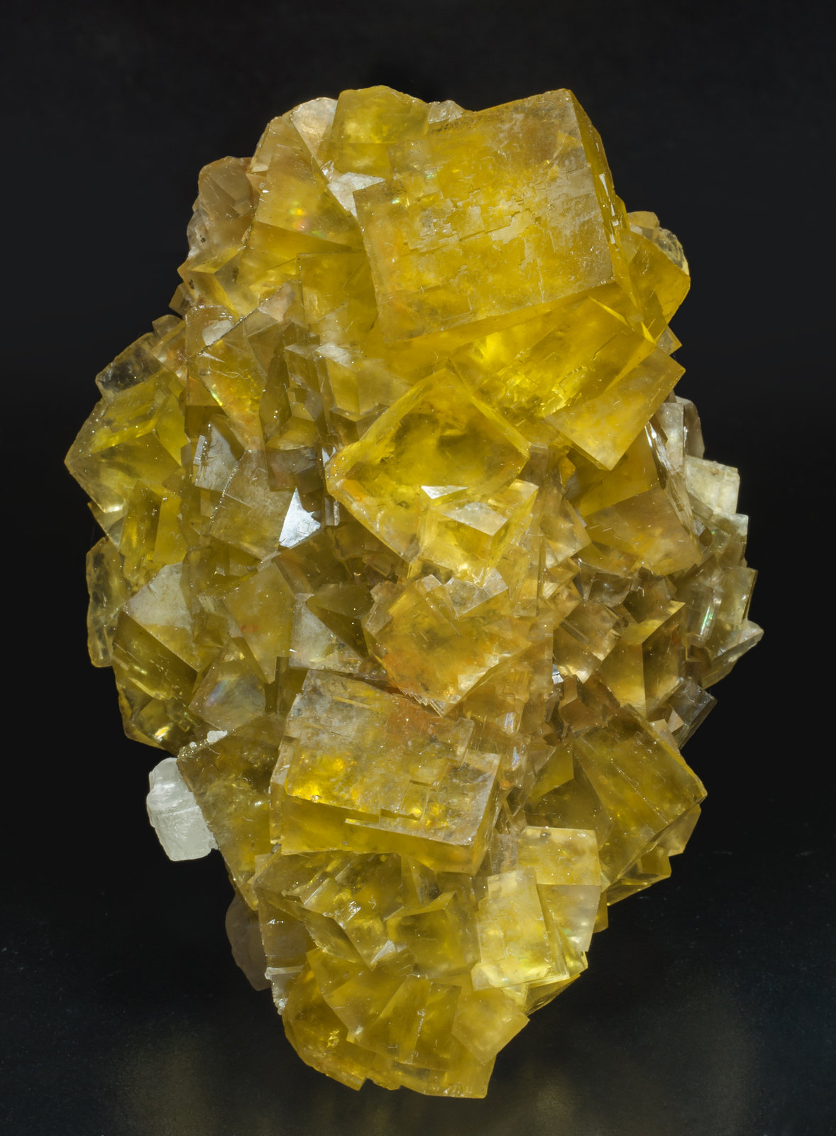 specimens/s_imagesAK5/Fluorite-EA26AK5f.jpg