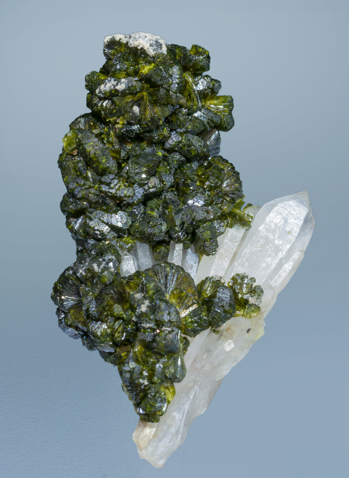 specimens/s_imagesAK6/Epidote-MD13AK6f.jpg