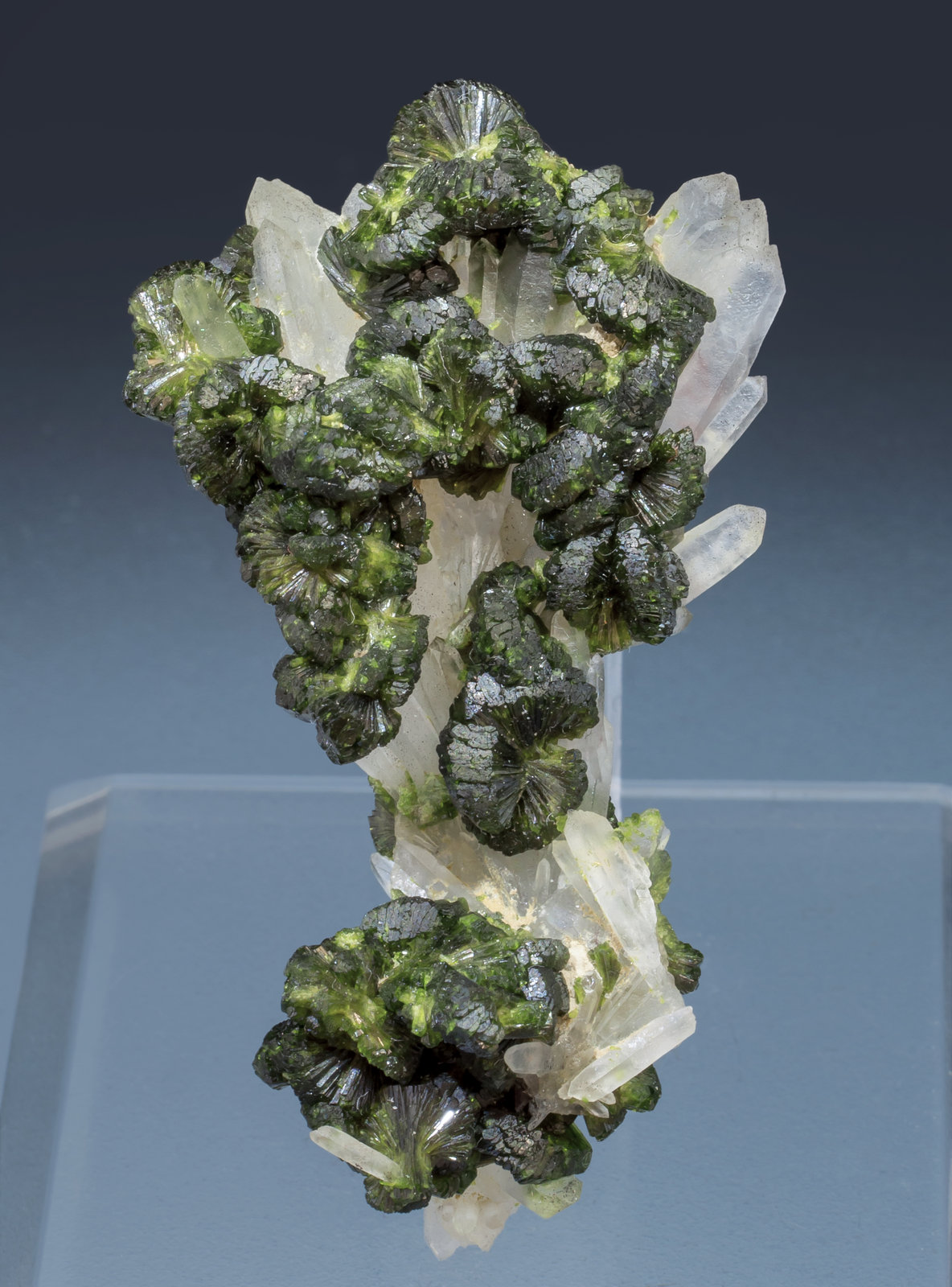 specimens/s_imagesAK6/Epidote-ME26AK6f.jpg