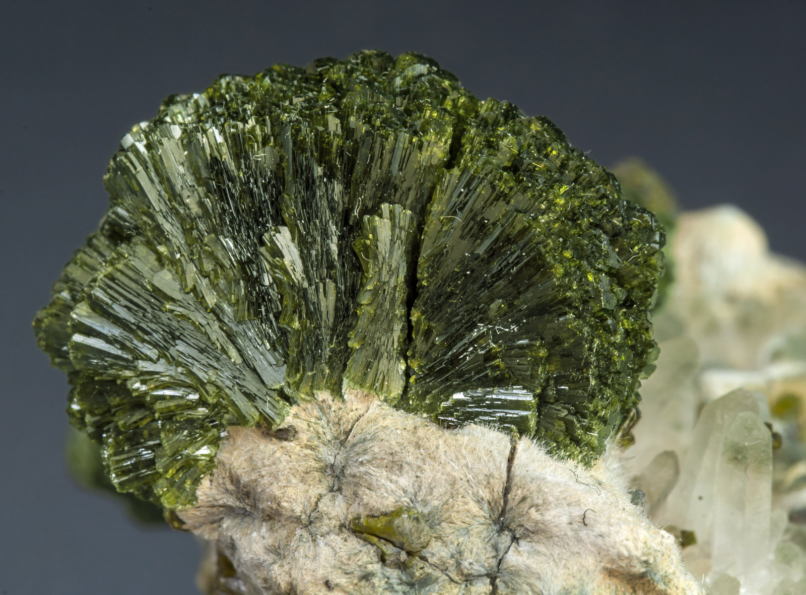 specimens/s_imagesAK6/Epidote-MF13AK6d.jpg