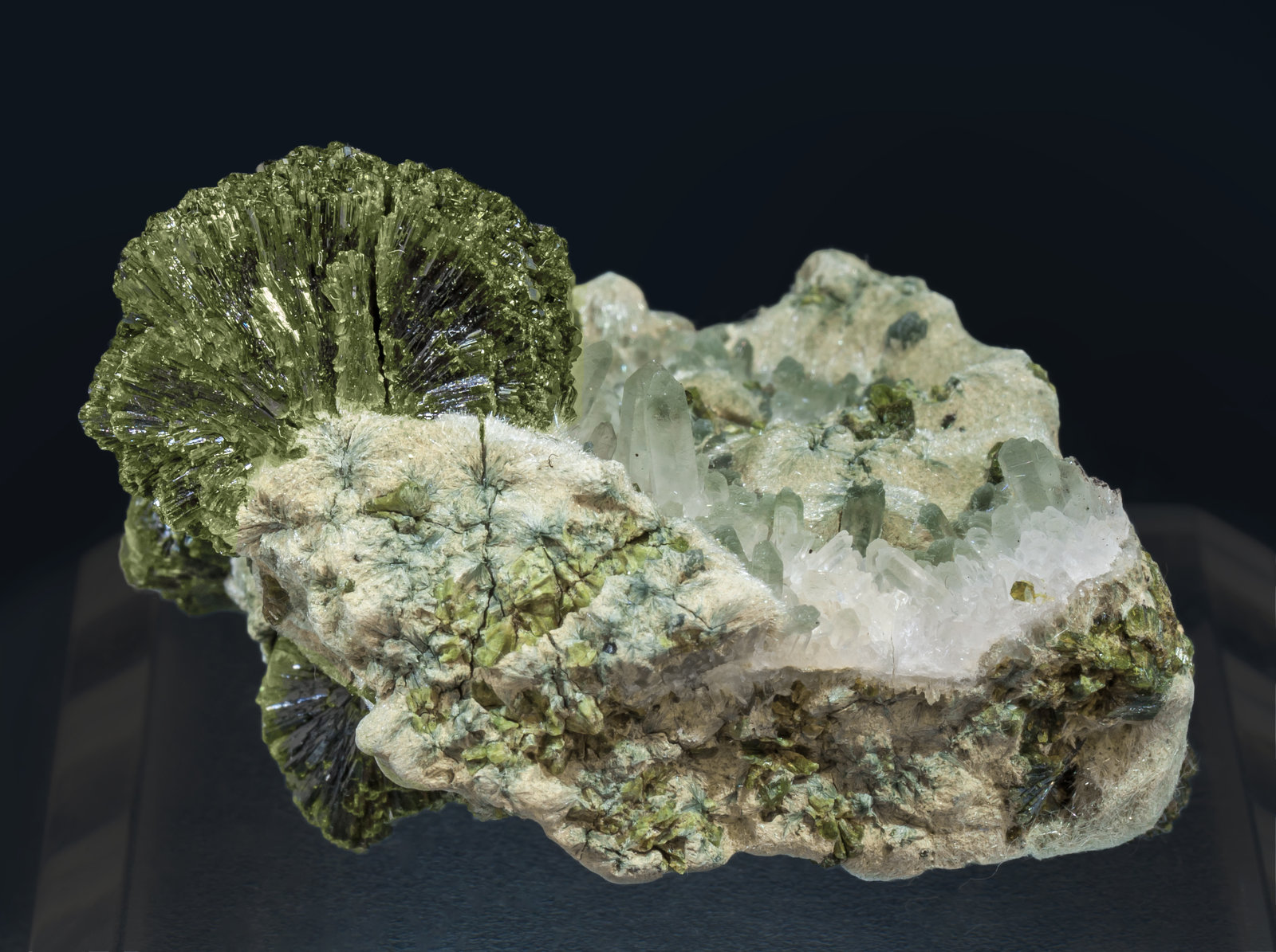 specimens/s_imagesAK6/Epidote-MF13AK6f.jpg