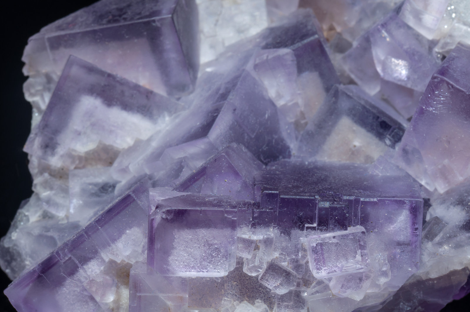 specimens/s_imagesAK6/Fluorite-GB87AK6d1.jpg