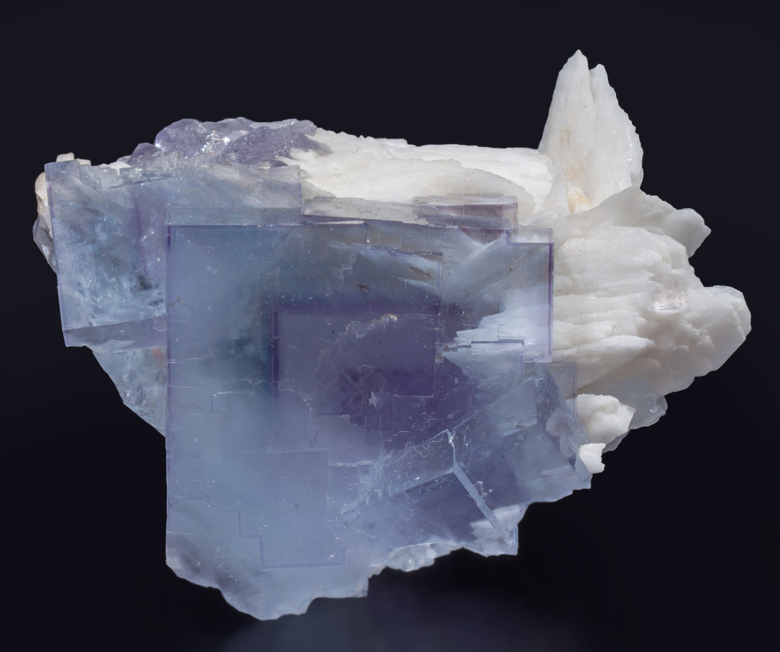 specimens/s_imagesAK6/Fluorite-ND99AK6f.jpg