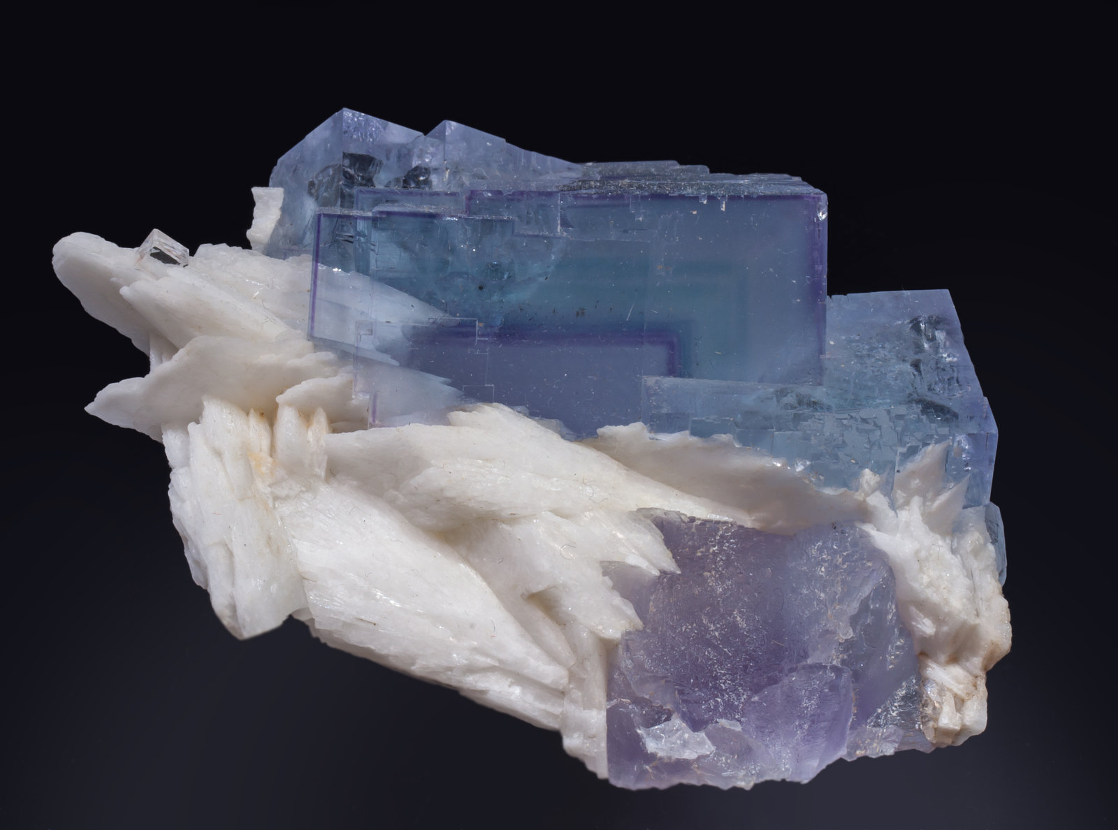 specimens/s_imagesAK6/Fluorite-ND99AK6t.jpg