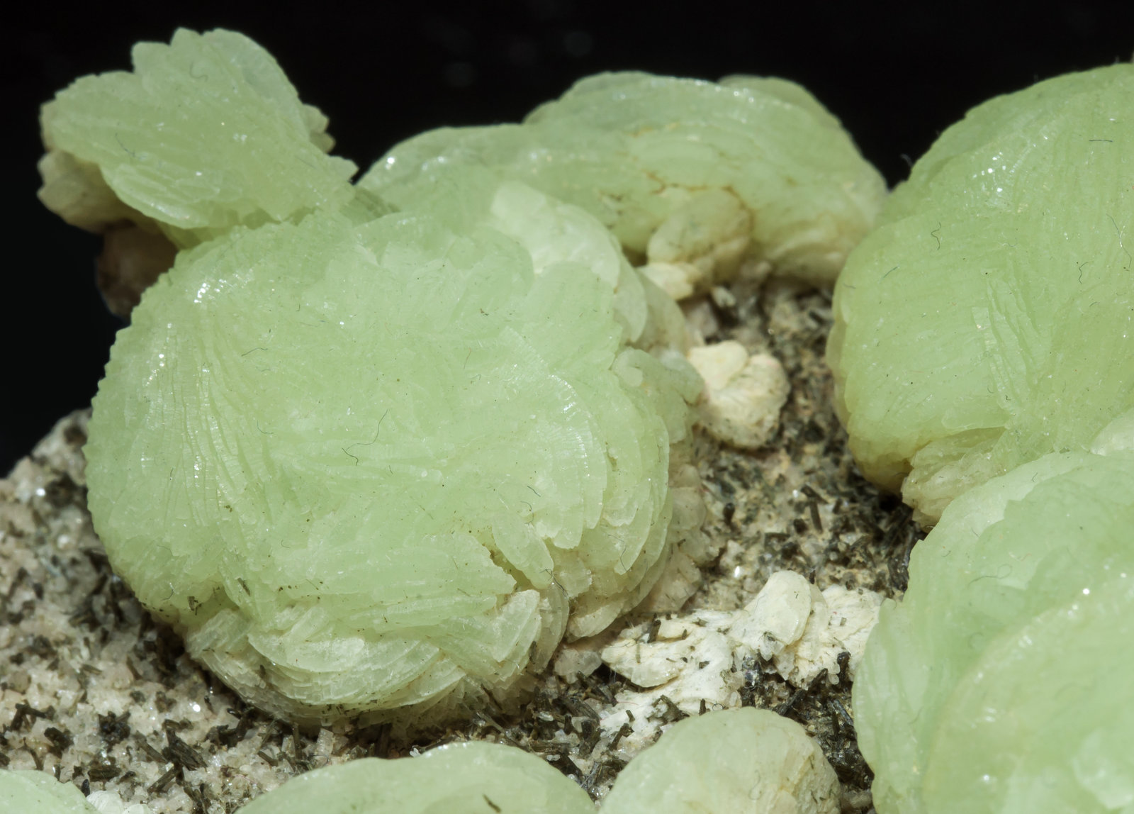 specimens/s_imagesAK6/Prehnite-GH66AK6d.jpg