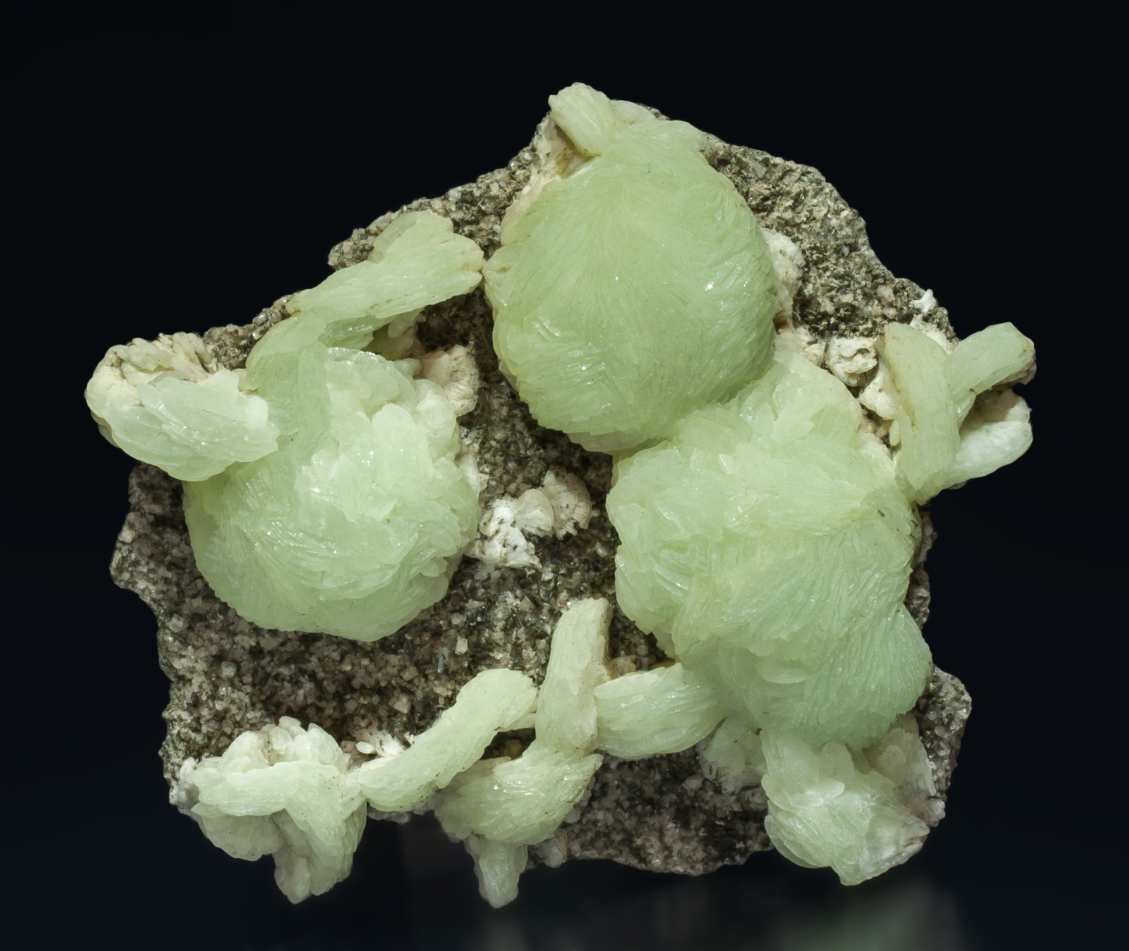 specimens/s_imagesAK6/Prehnite-GH66AK6f.jpg