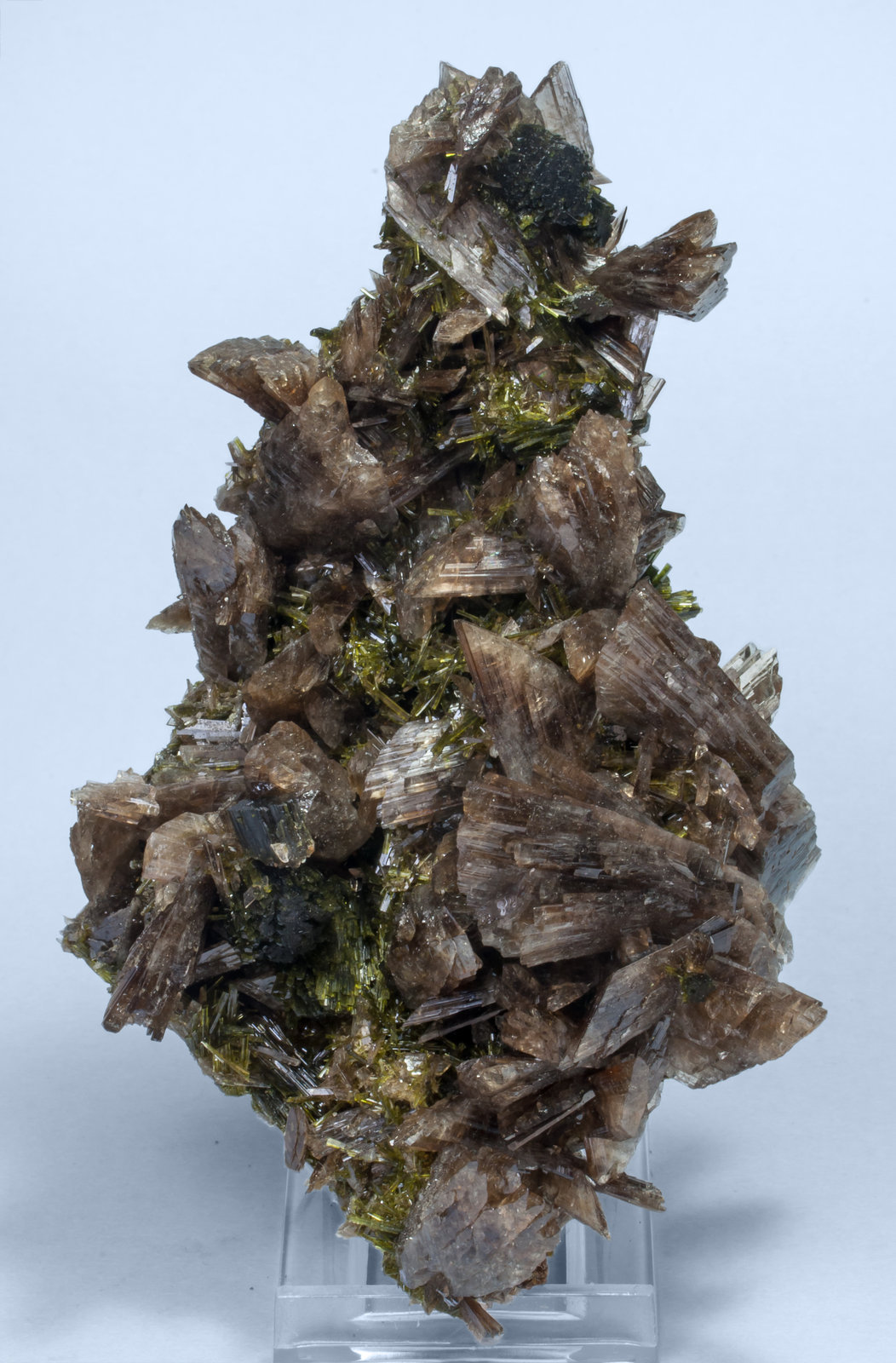 specimens/s_imagesAK7/Axinite-NQ90AK7f.jpg