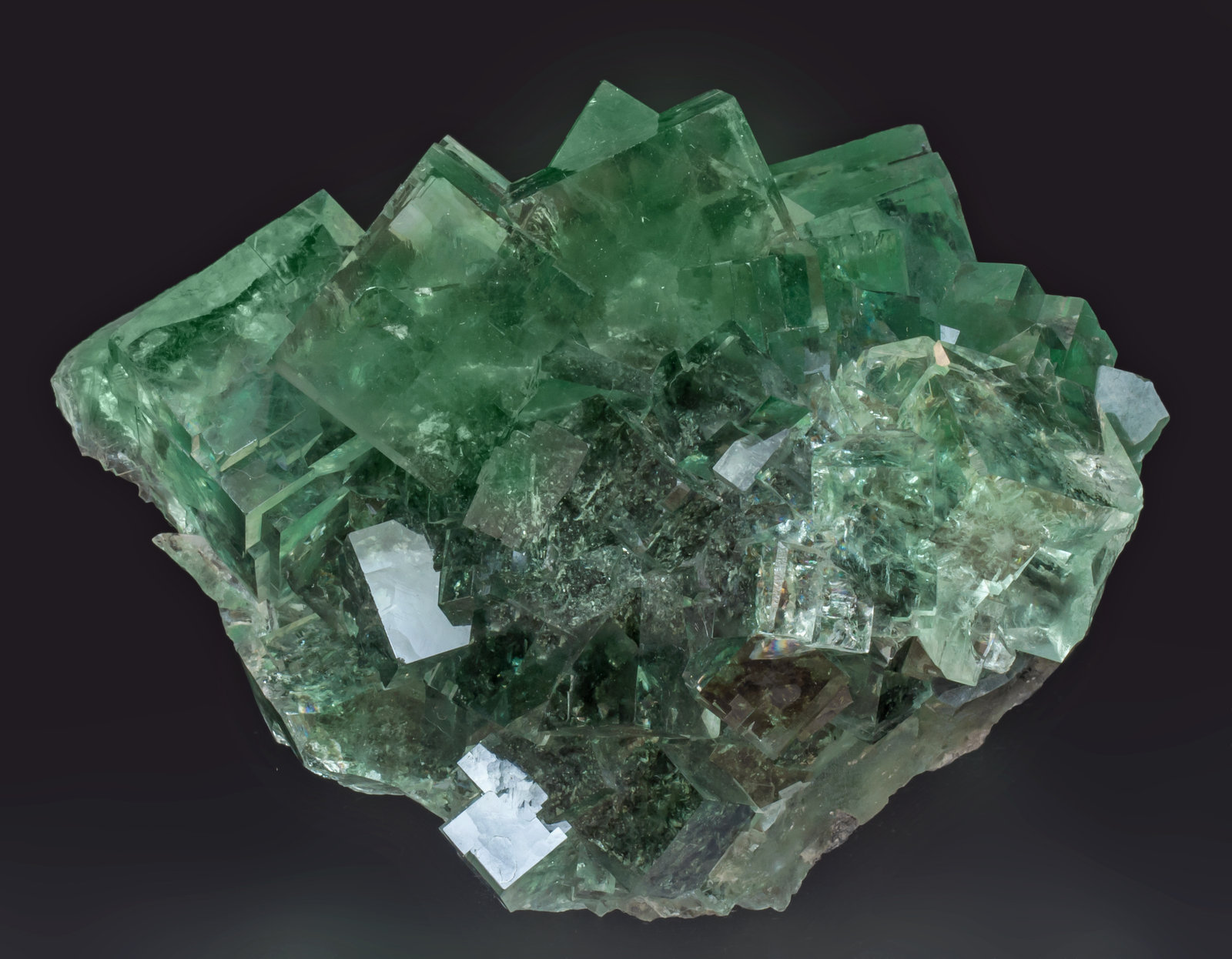 specimens/s_imagesAK7/Fluorite-EM73AK7f.jpg