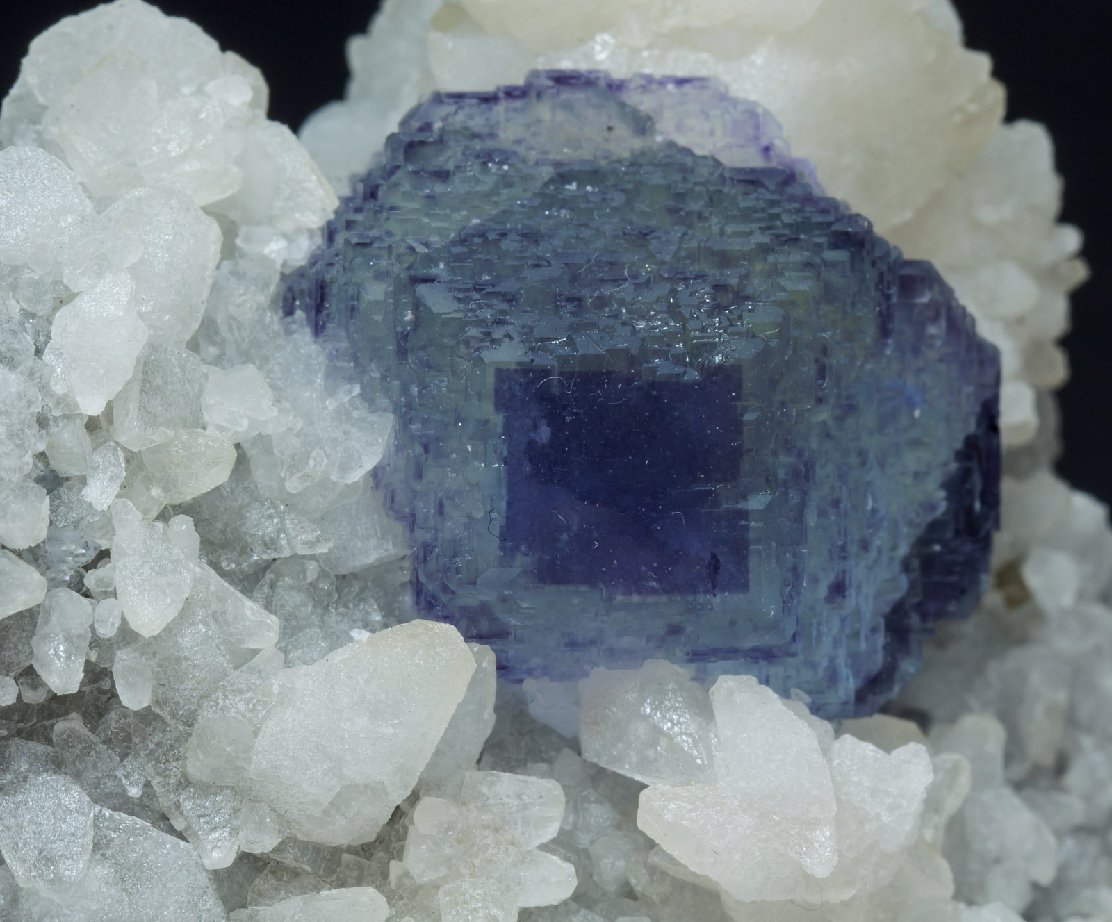 specimens/s_imagesAK7/Fluorite-ER99AK7d.jpg