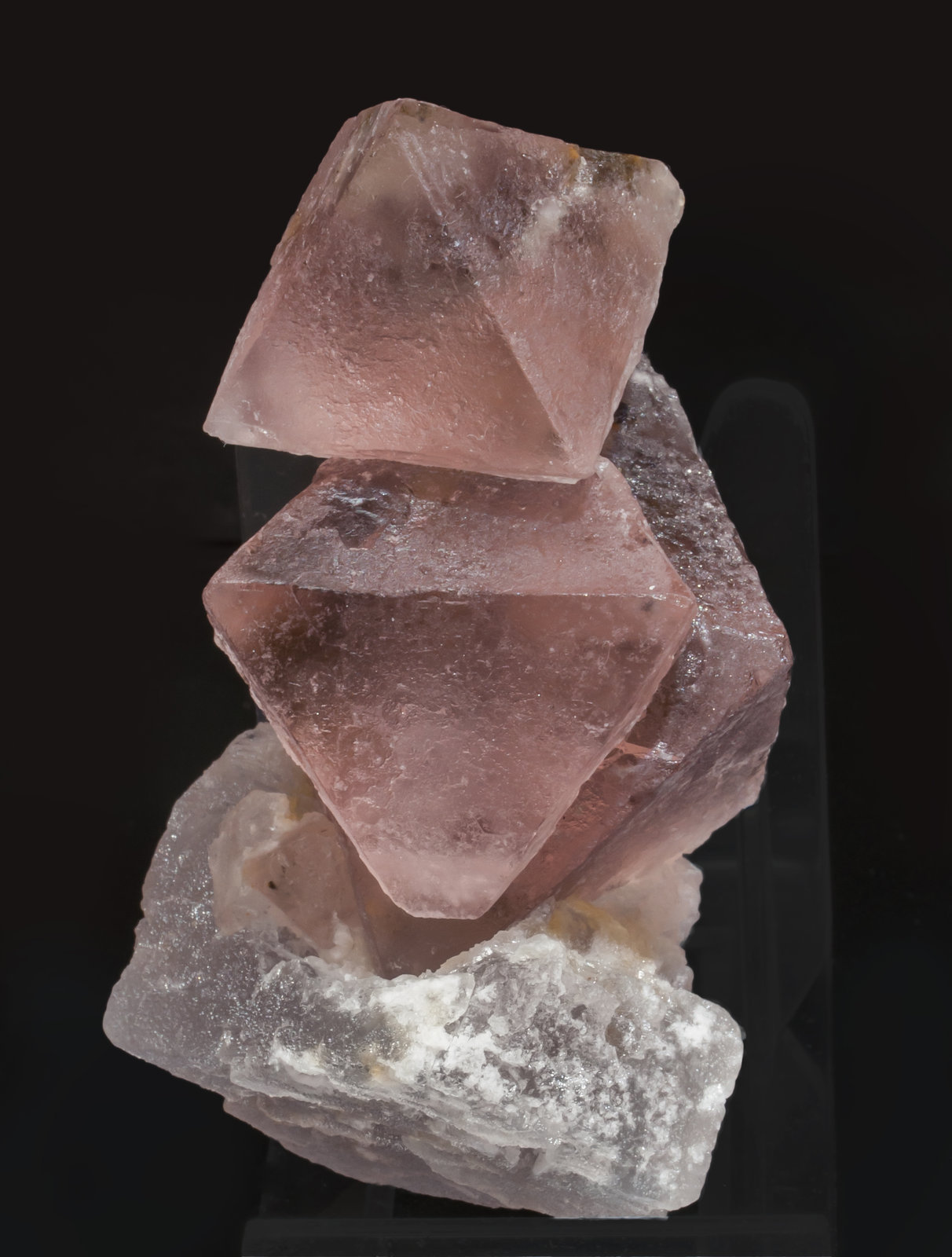 specimens/s_imagesAK7/Fluorite-MR96AK7f.jpg