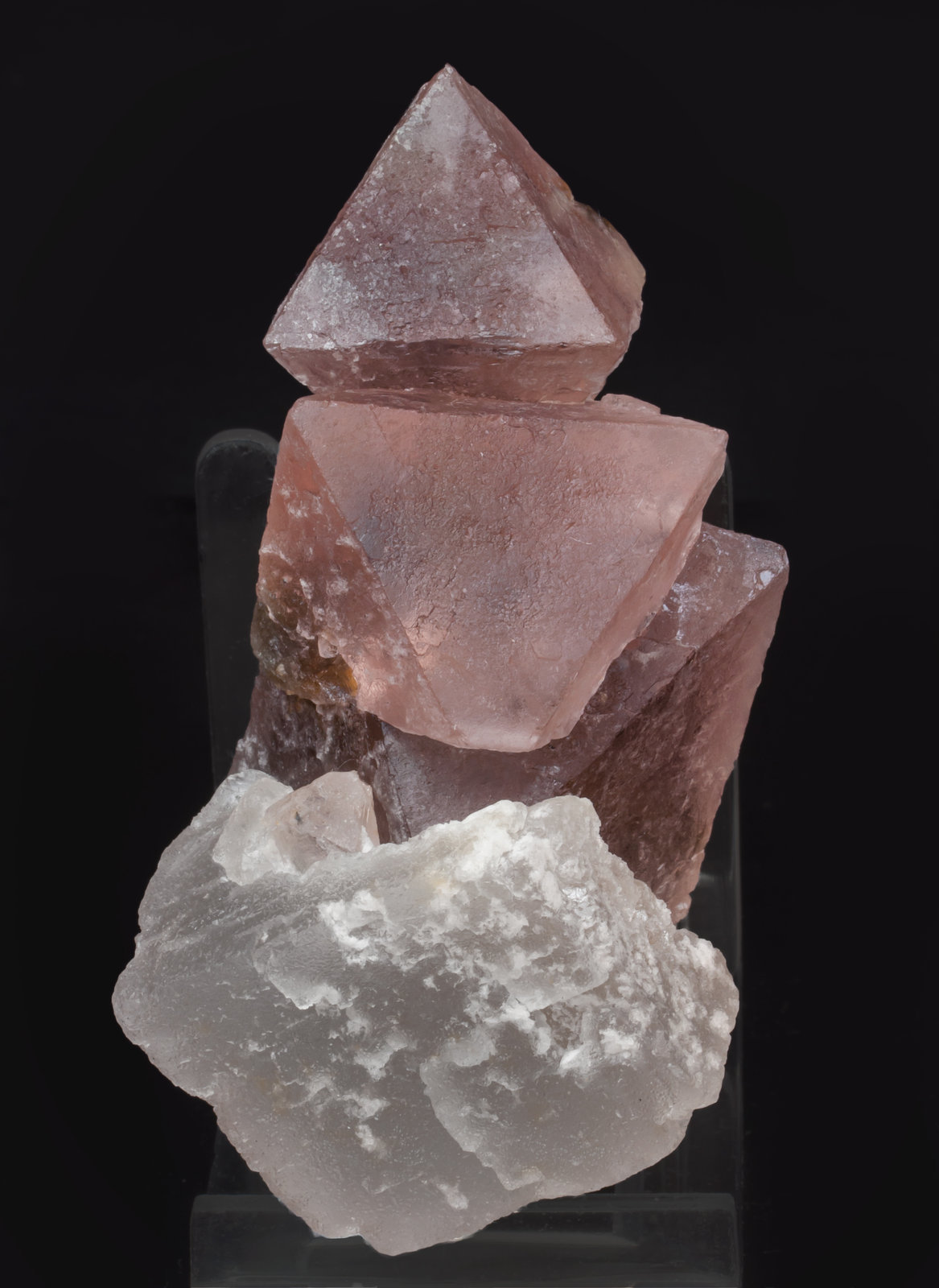 specimens/s_imagesAK7/Fluorite-MR96AK7s2.jpg