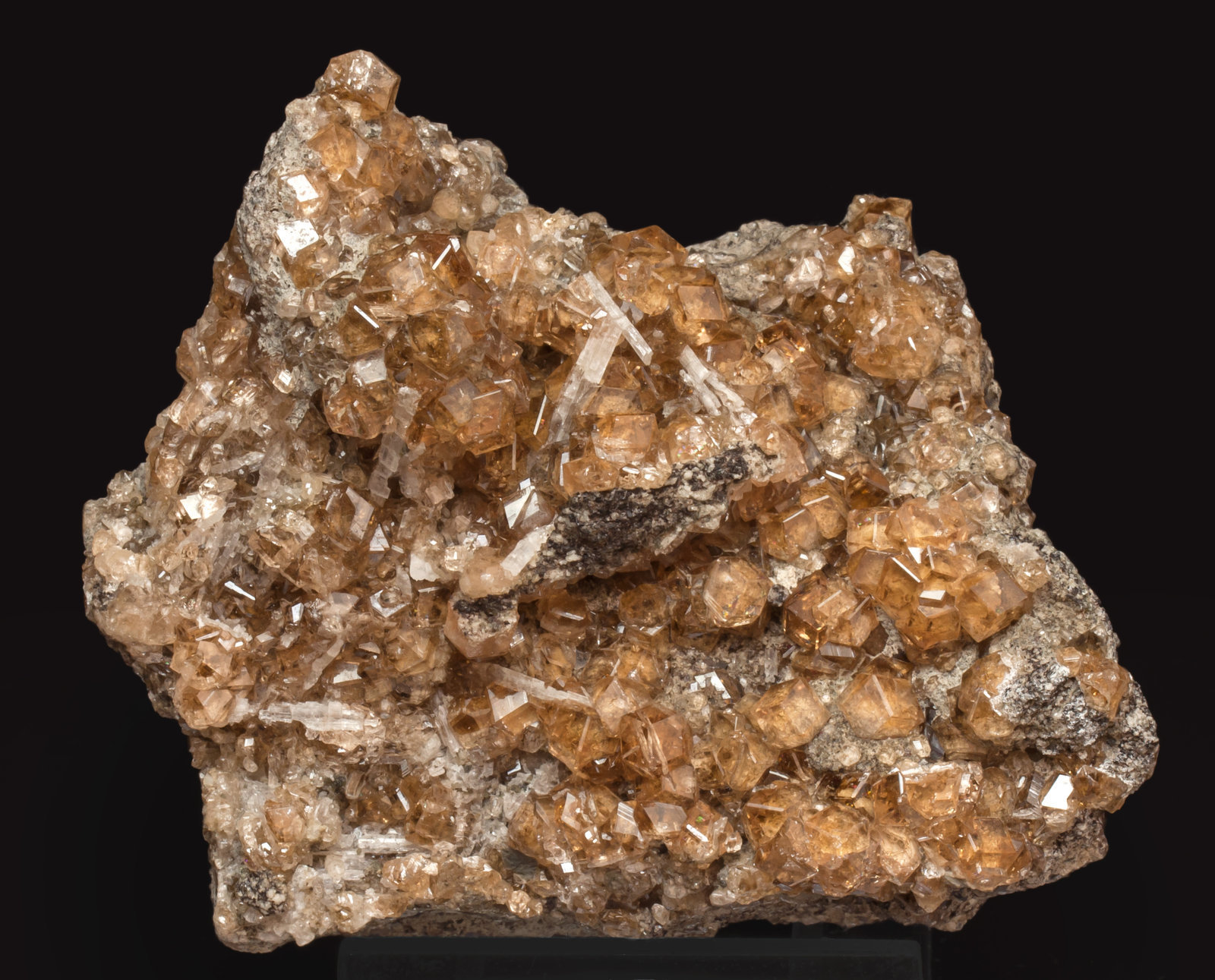 specimens/s_imagesAK7/Grossular_hessonite-MG90AK7f.jpg