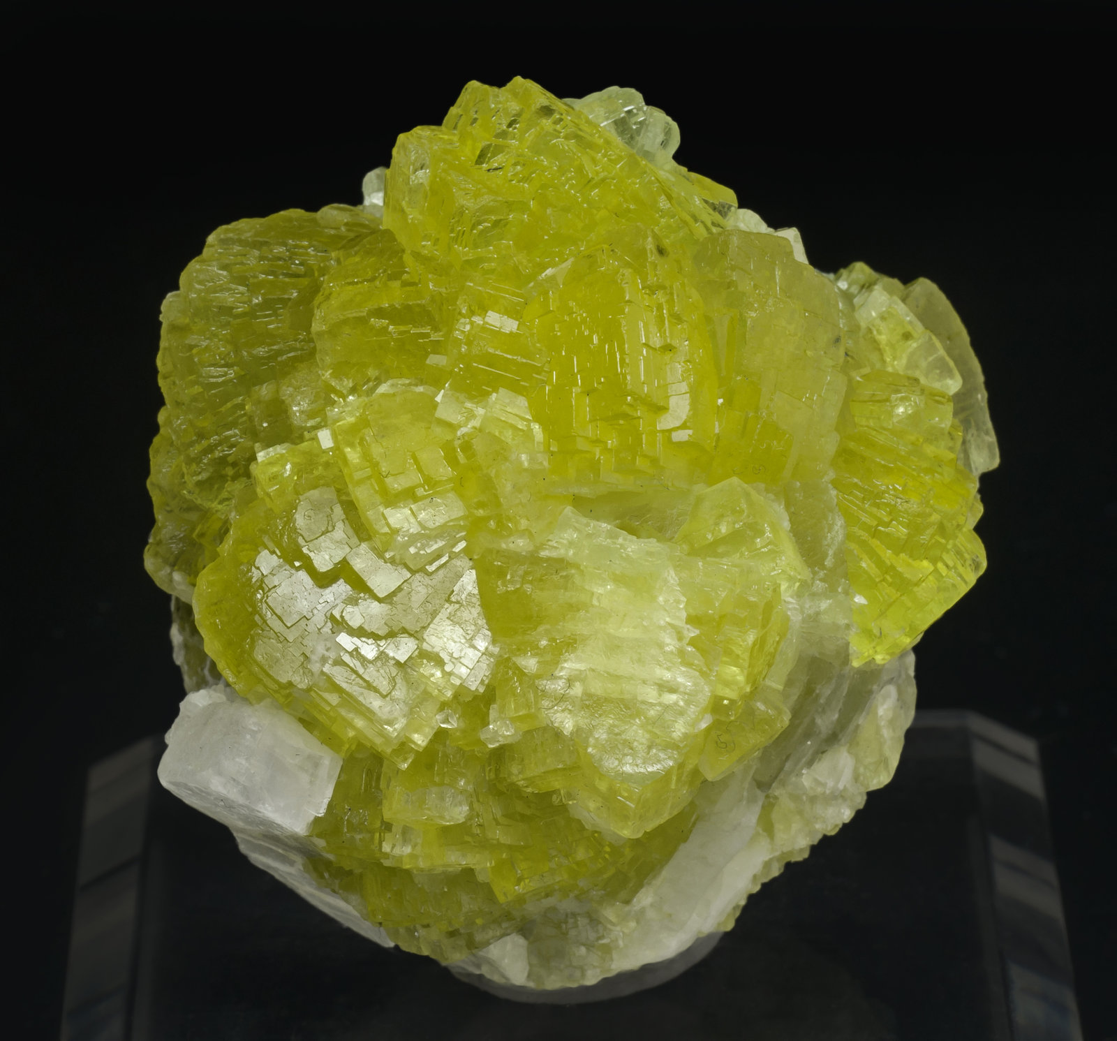 specimens/s_imagesAK7/Prehnite-MF68AK7f.jpg