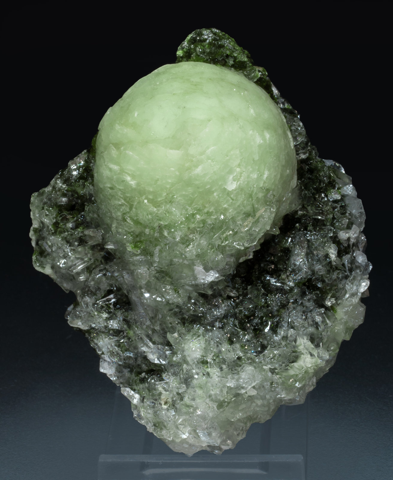 specimens/s_imagesAK7/Prehnite-MP66AK7f.jpg