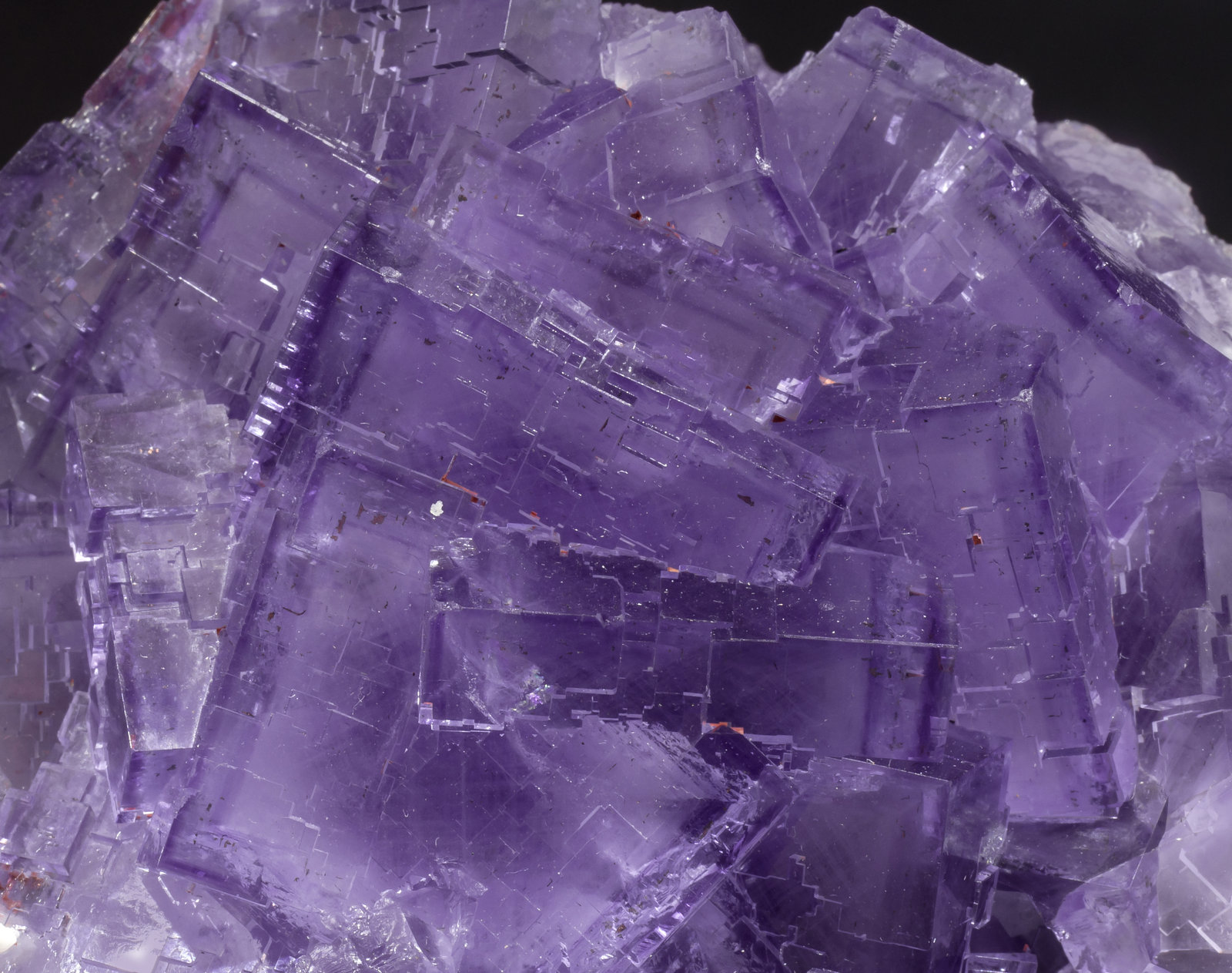 specimens/s_imagesAK8/Fluorite-EA66AK8d.jpg