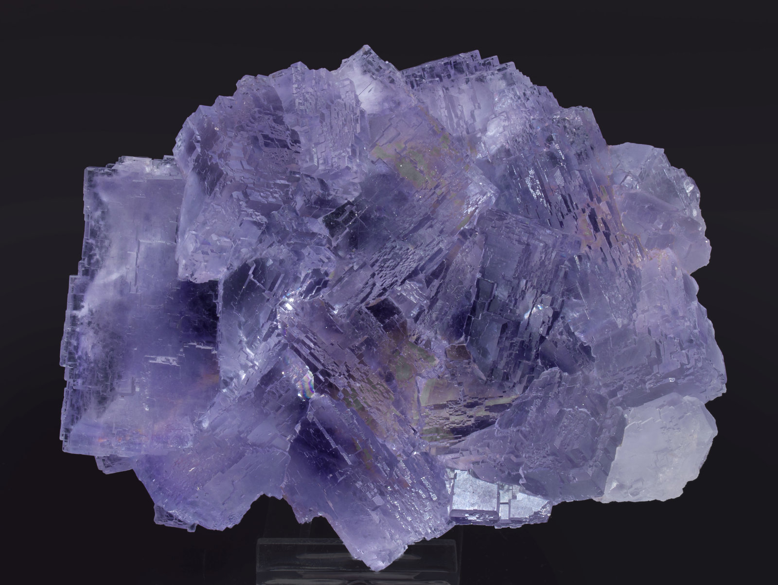 specimens/s_imagesAK8/Fluorite-MF54AK8s.jpg