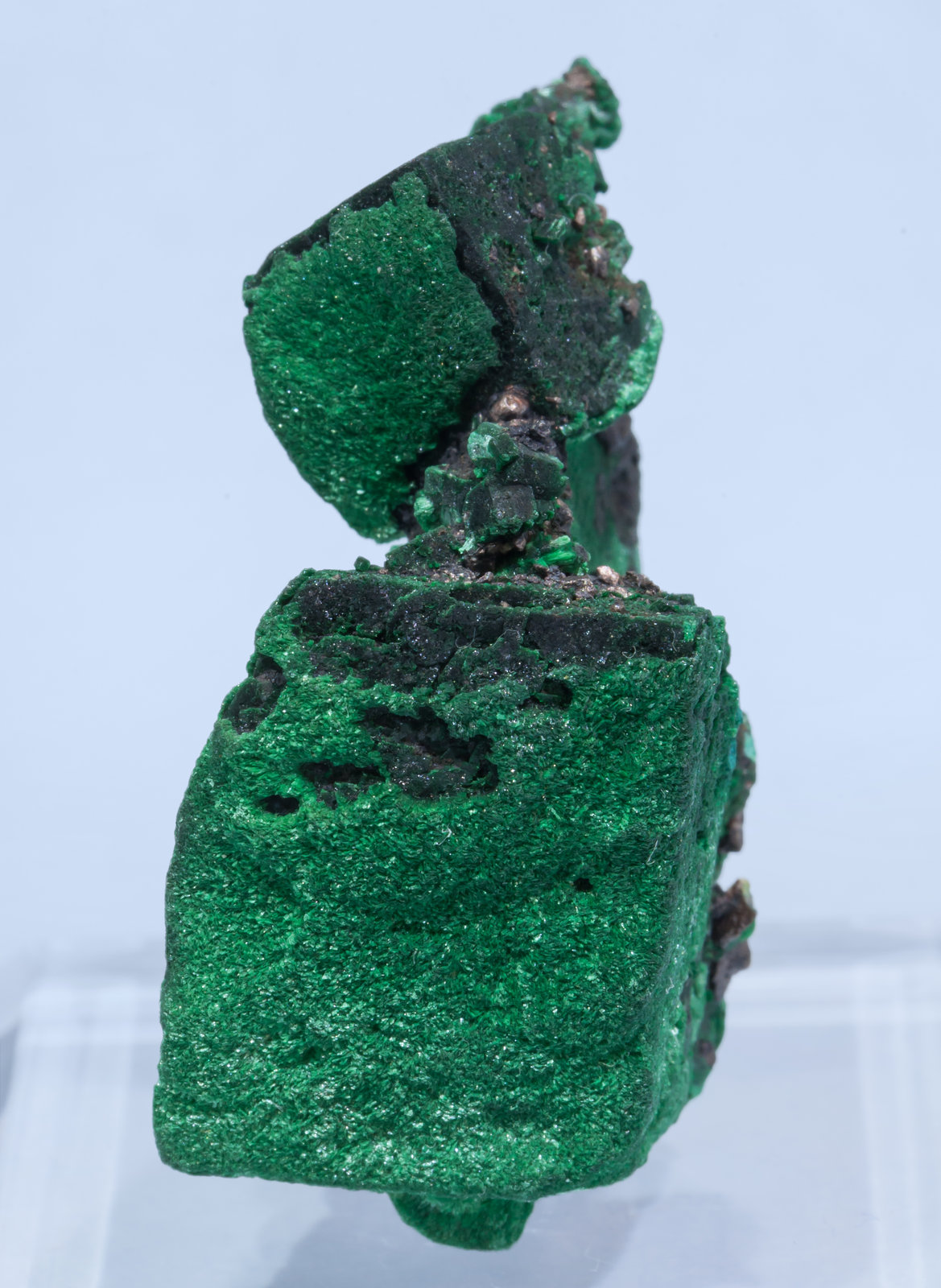 specimens/s_imagesAK8/Malachite-EY48AK8f.jpg