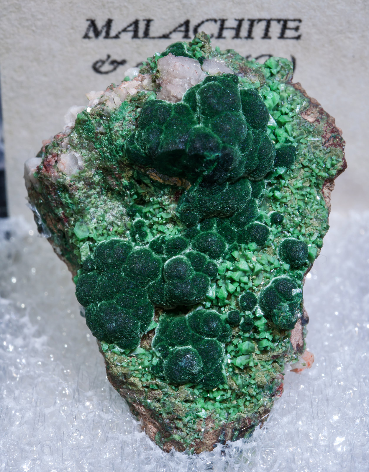specimens/s_imagesAK8/Malachite-TK11AK8f2.jpg