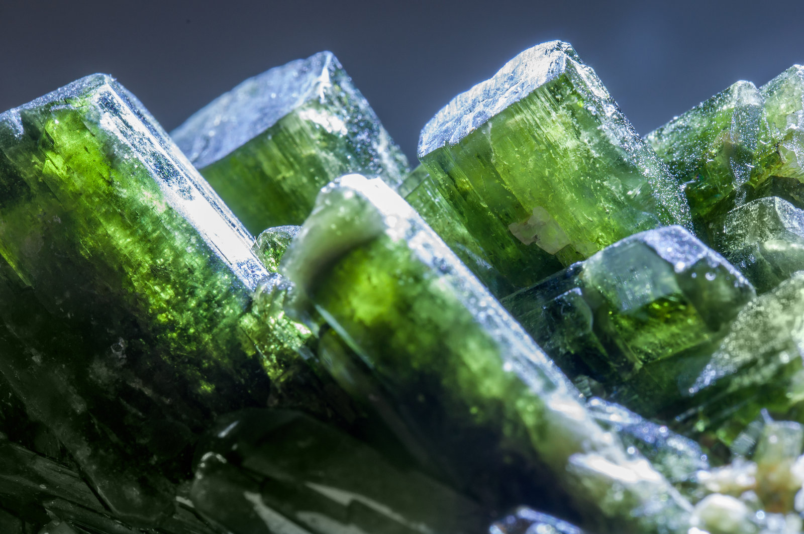 specimens/s_imagesAK9/Diopside-MF69AK9d.jpg