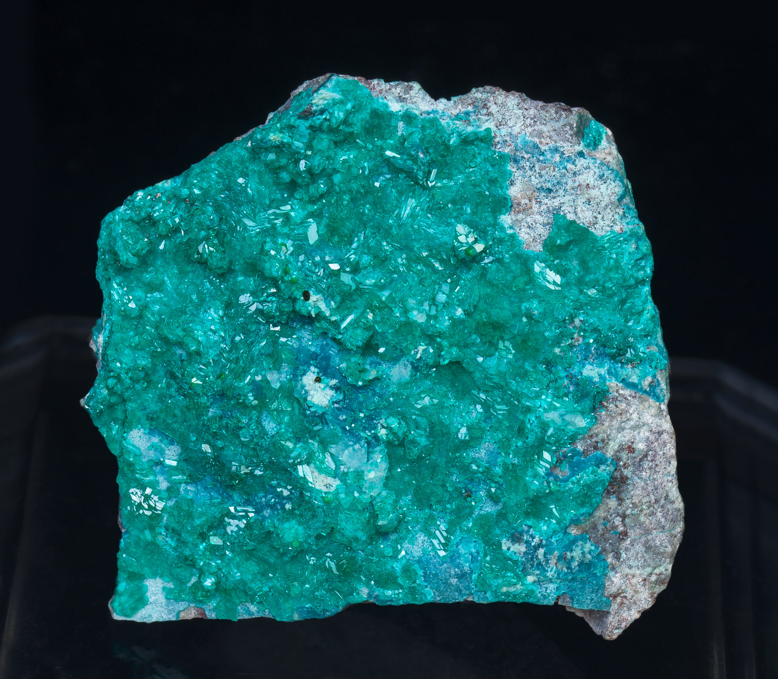 specimens/s_imagesAK9/Dioptase-TZ37AK9f.jpg