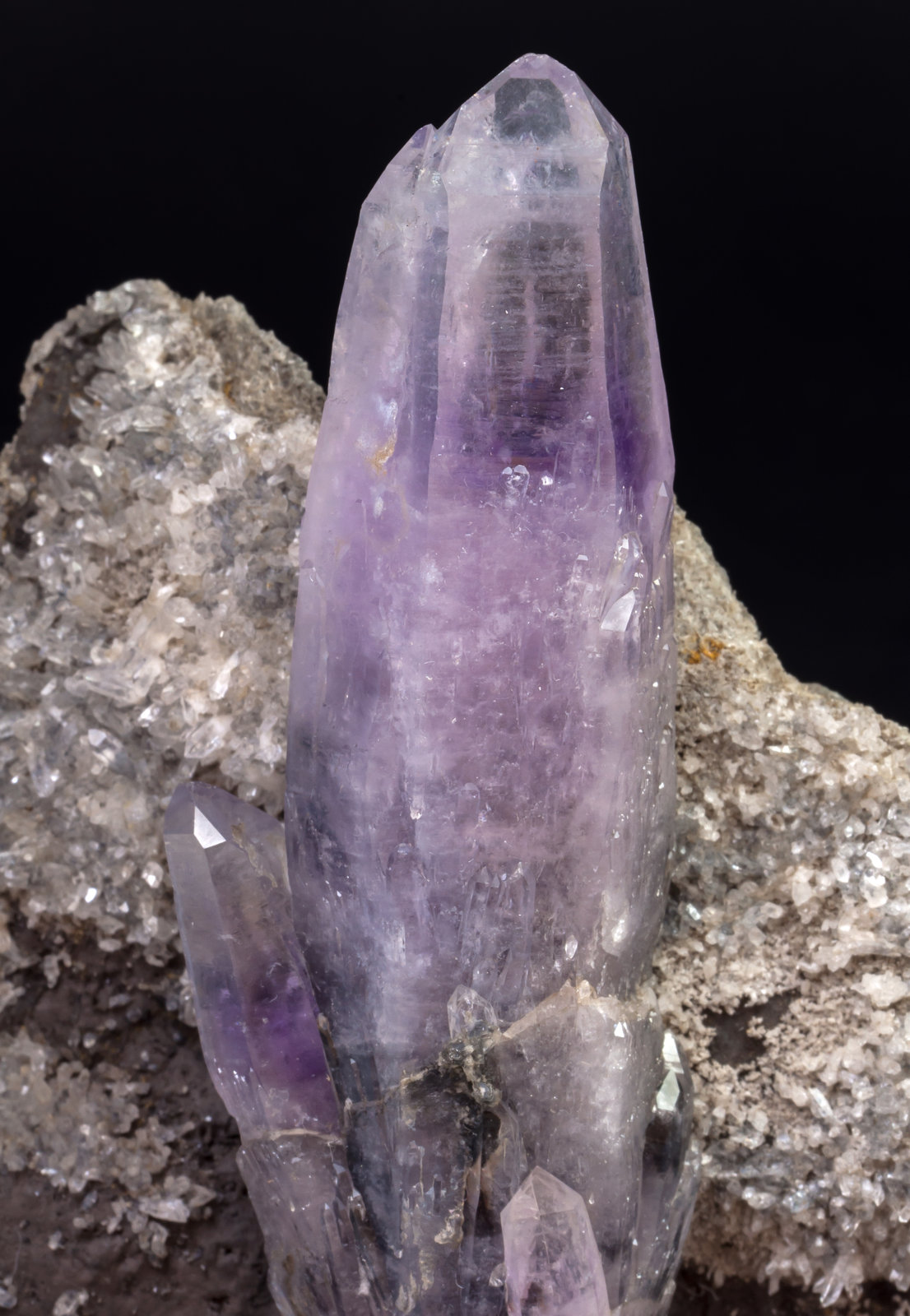 specimens/s_imagesAK9/Quartz_amethyst-DF87AK9d.jpg