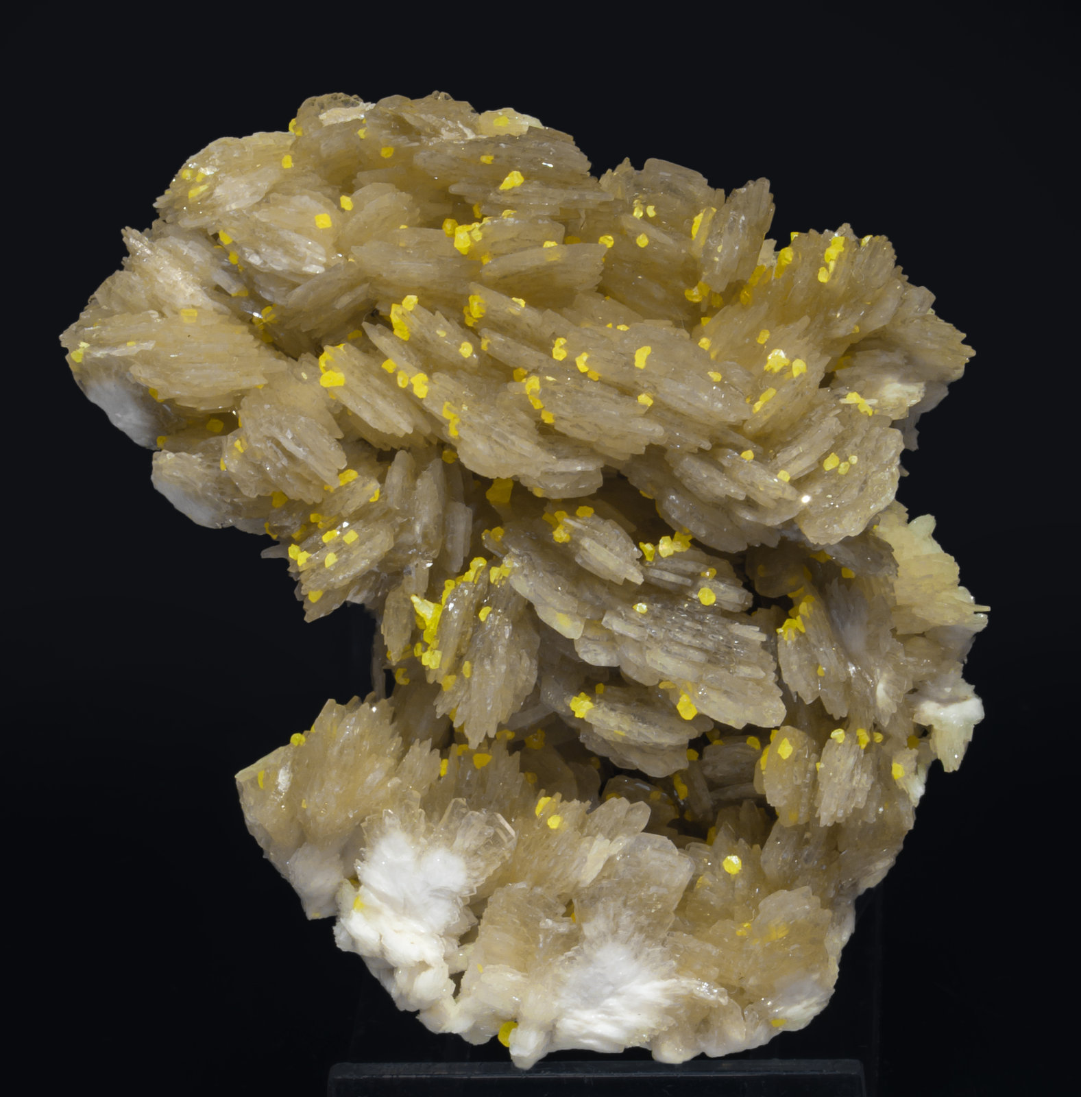specimens/s_imagesAL0/Baryte-MP46AL0s.jpg