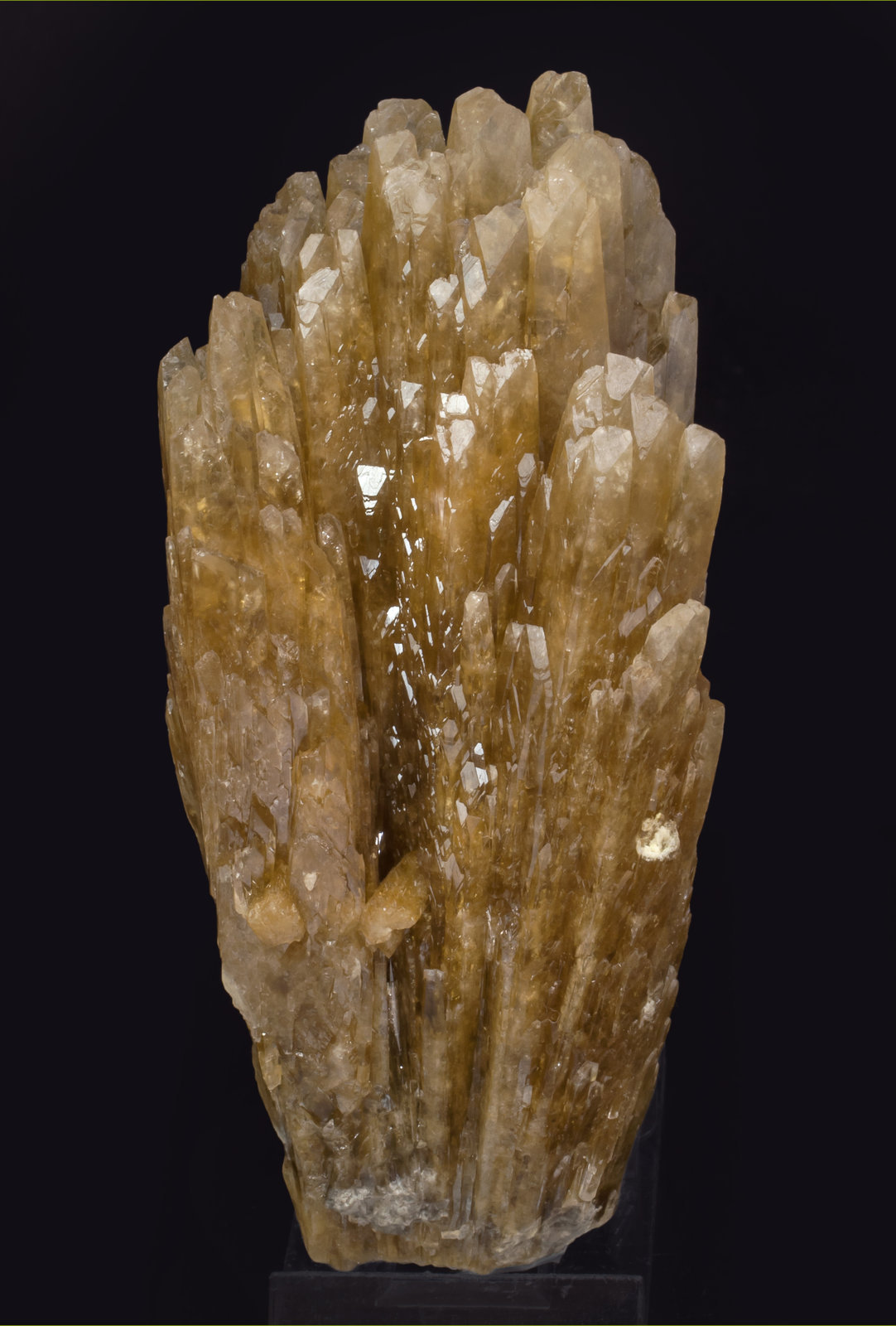 specimens/s_imagesAL0/Celestine-LM71AL0f.jpg