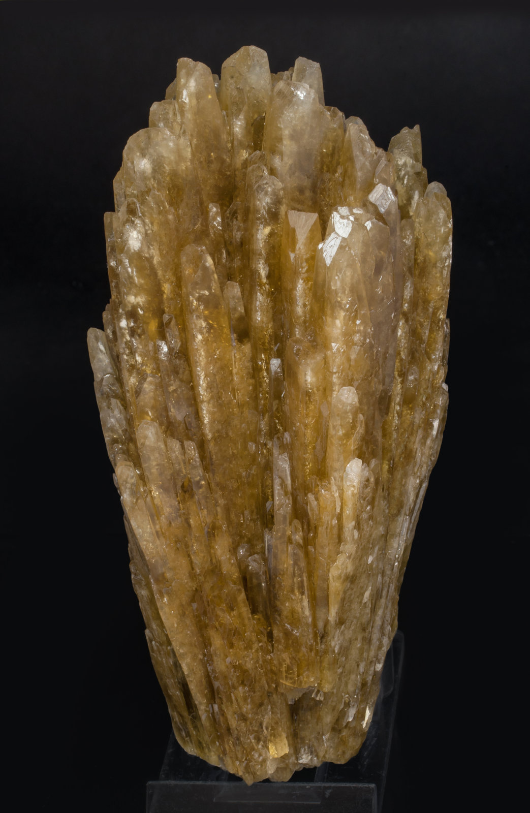 specimens/s_imagesAL0/Celestine-LM71AL0r.jpg