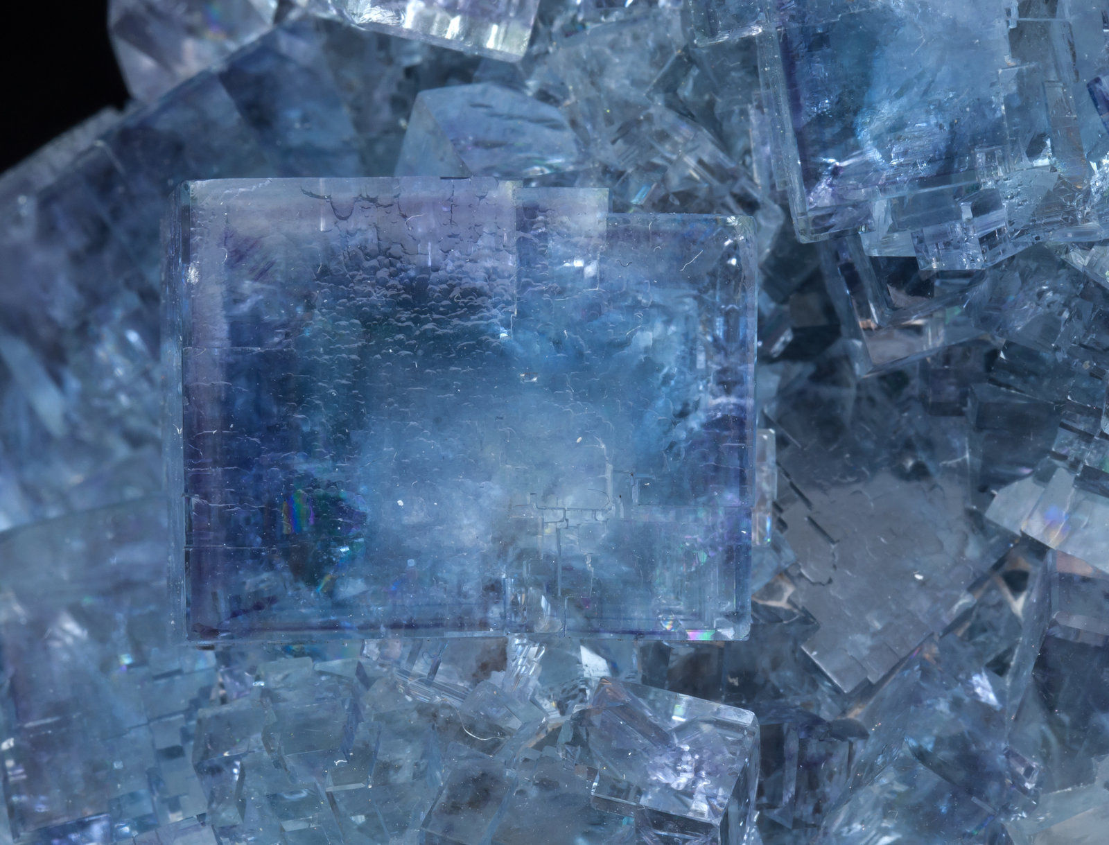 specimens/s_imagesAL0/Fluorite-NV98AL0d.jpg