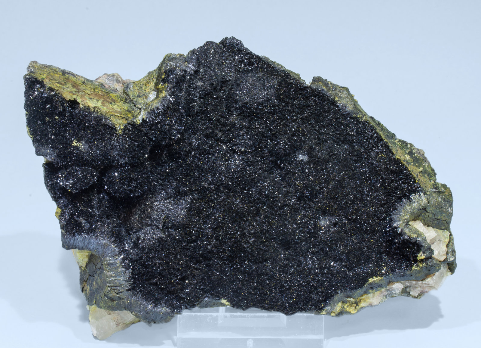 specimens/s_imagesAL0/Montroseite-EA91AL0f.jpg