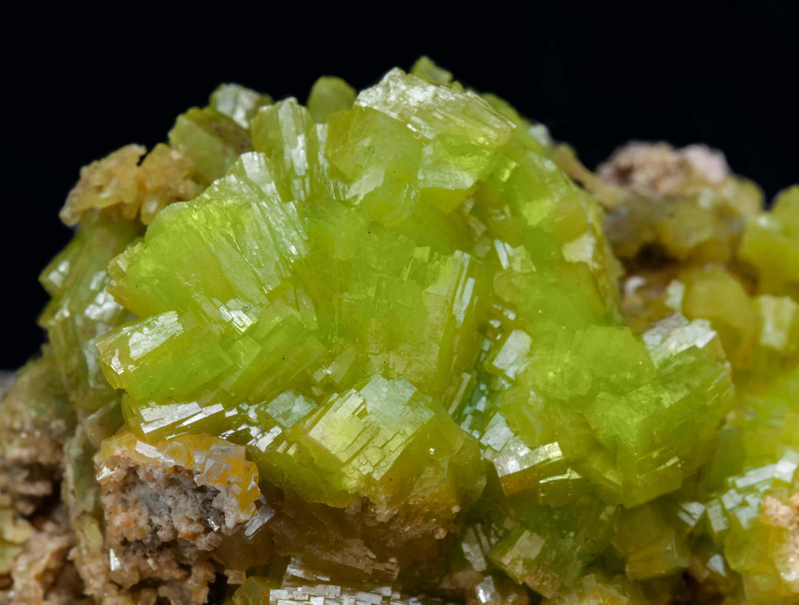 specimens/s_imagesAL0/Pyromorphite-NP74AL0d.jpg