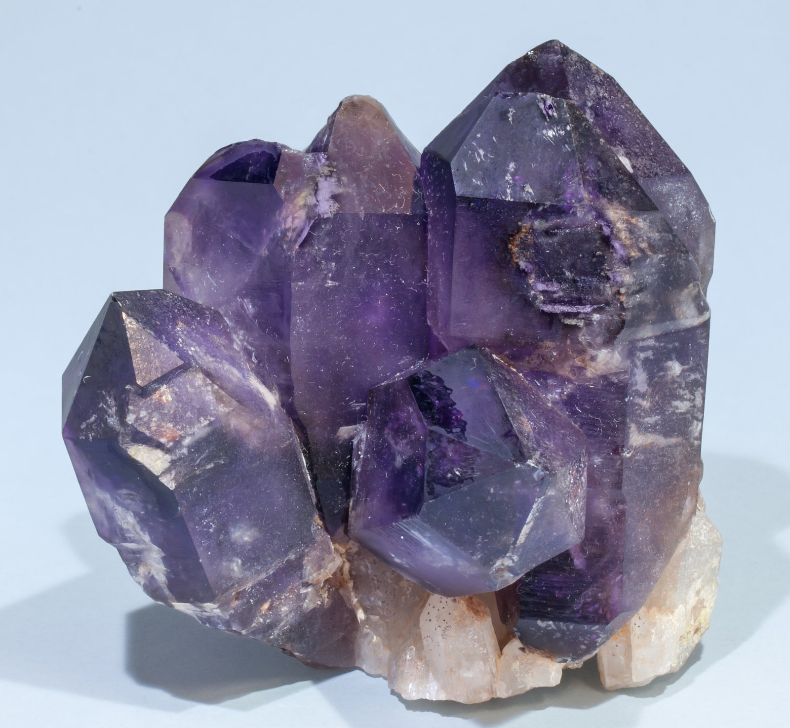 specimens/s_imagesAL0/Quartz_amethyst-EN56AL0f.jpg