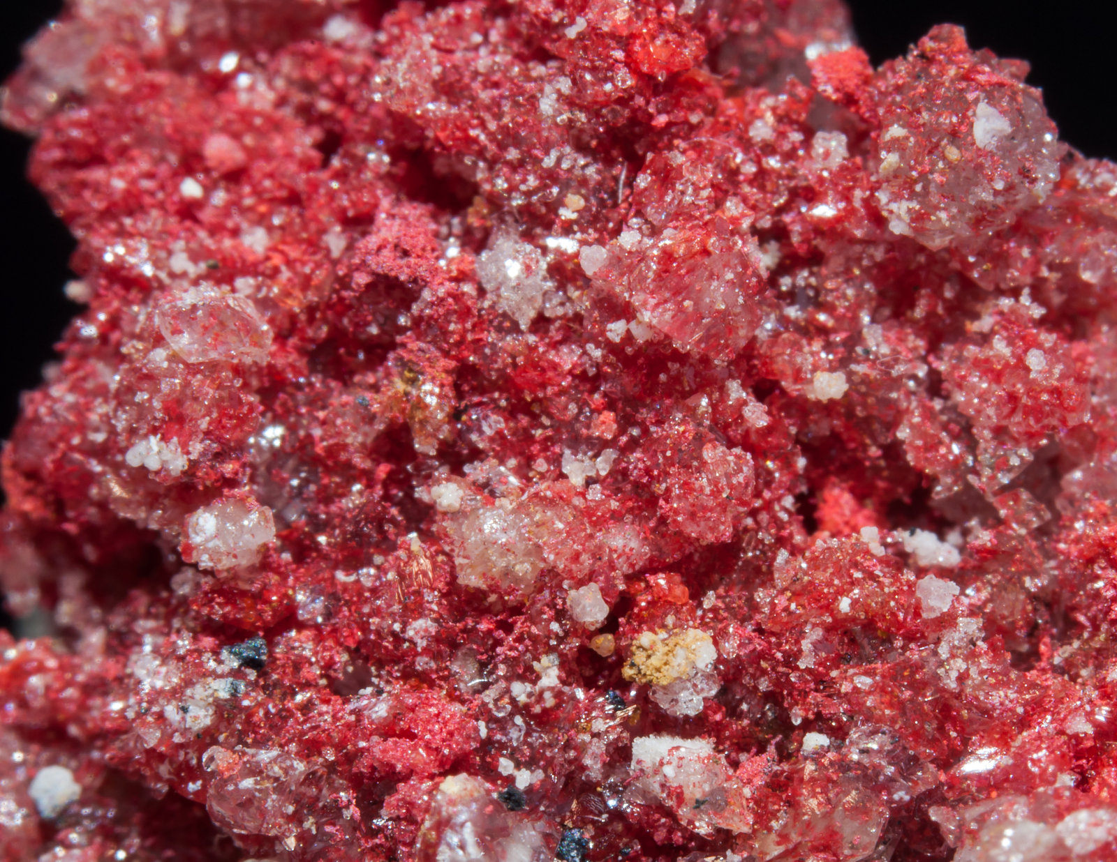 specimens/s_imagesAL1/Cinnabar-TB64AL1d.jpg