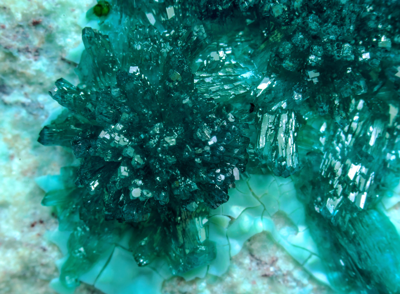 specimens/s_imagesAL1/Dioptase-TT93AL1d.jpg