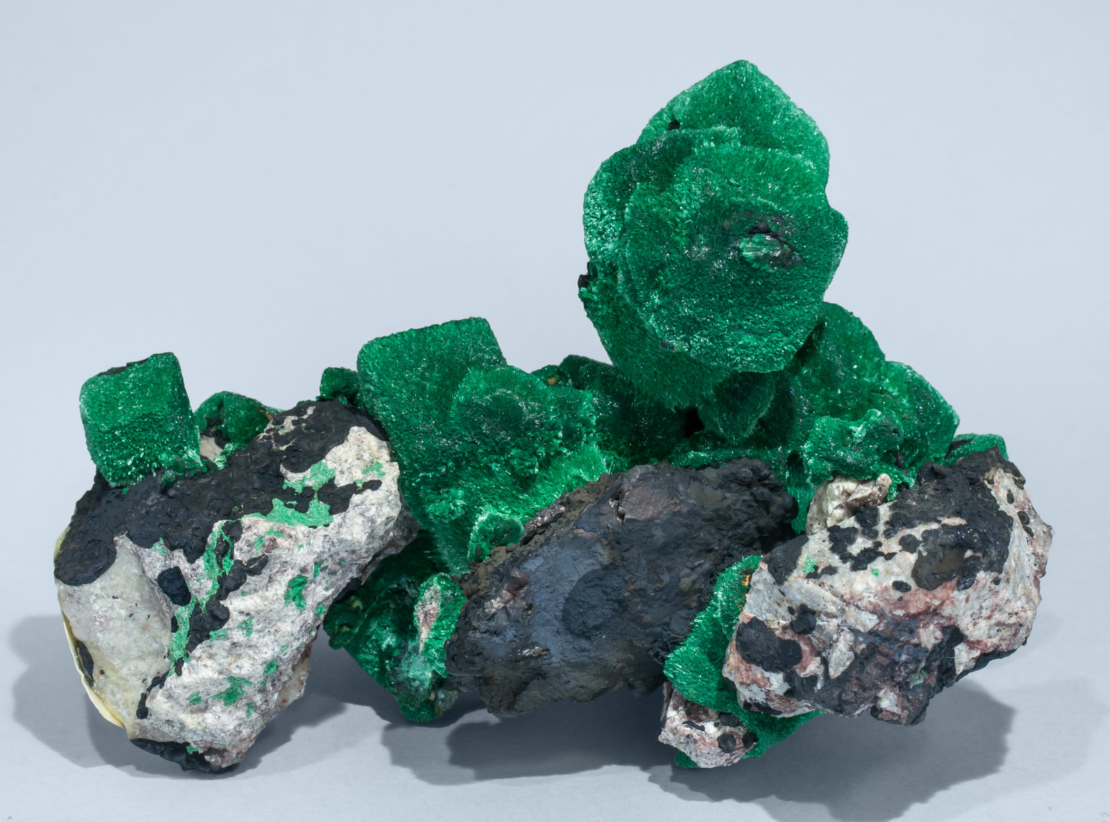 specimens/s_imagesAL1/Malachite-TF48AL1r.jpg