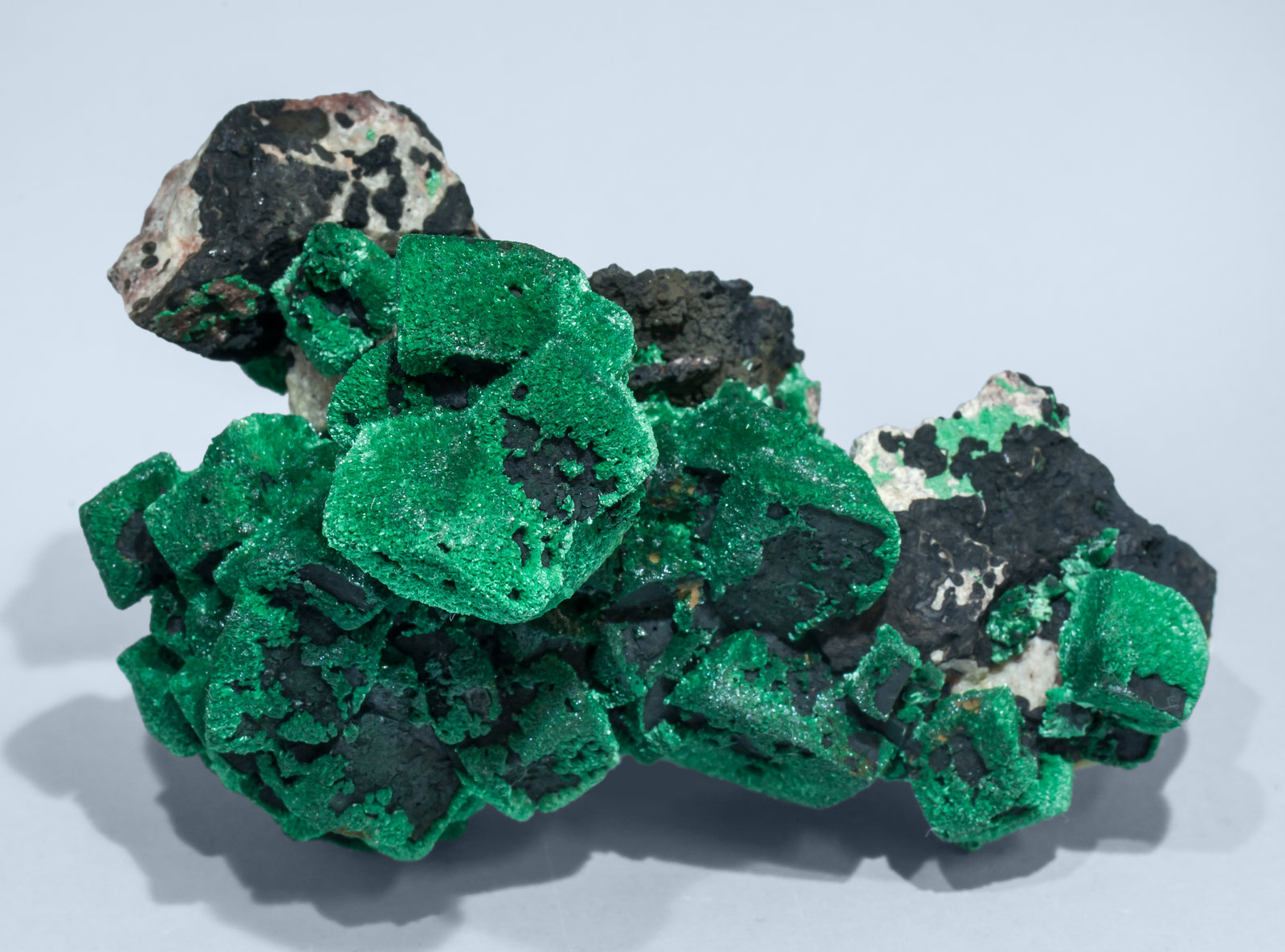 specimens/s_imagesAL1/Malachite-TF48AL1t.jpg