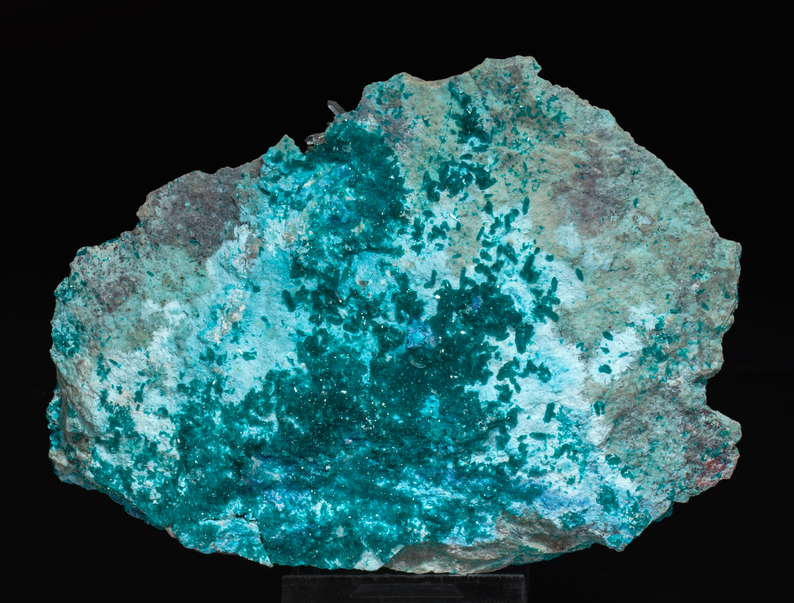 specimens/s_imagesAL1/Shattuckite-TY91AL1r.jpg